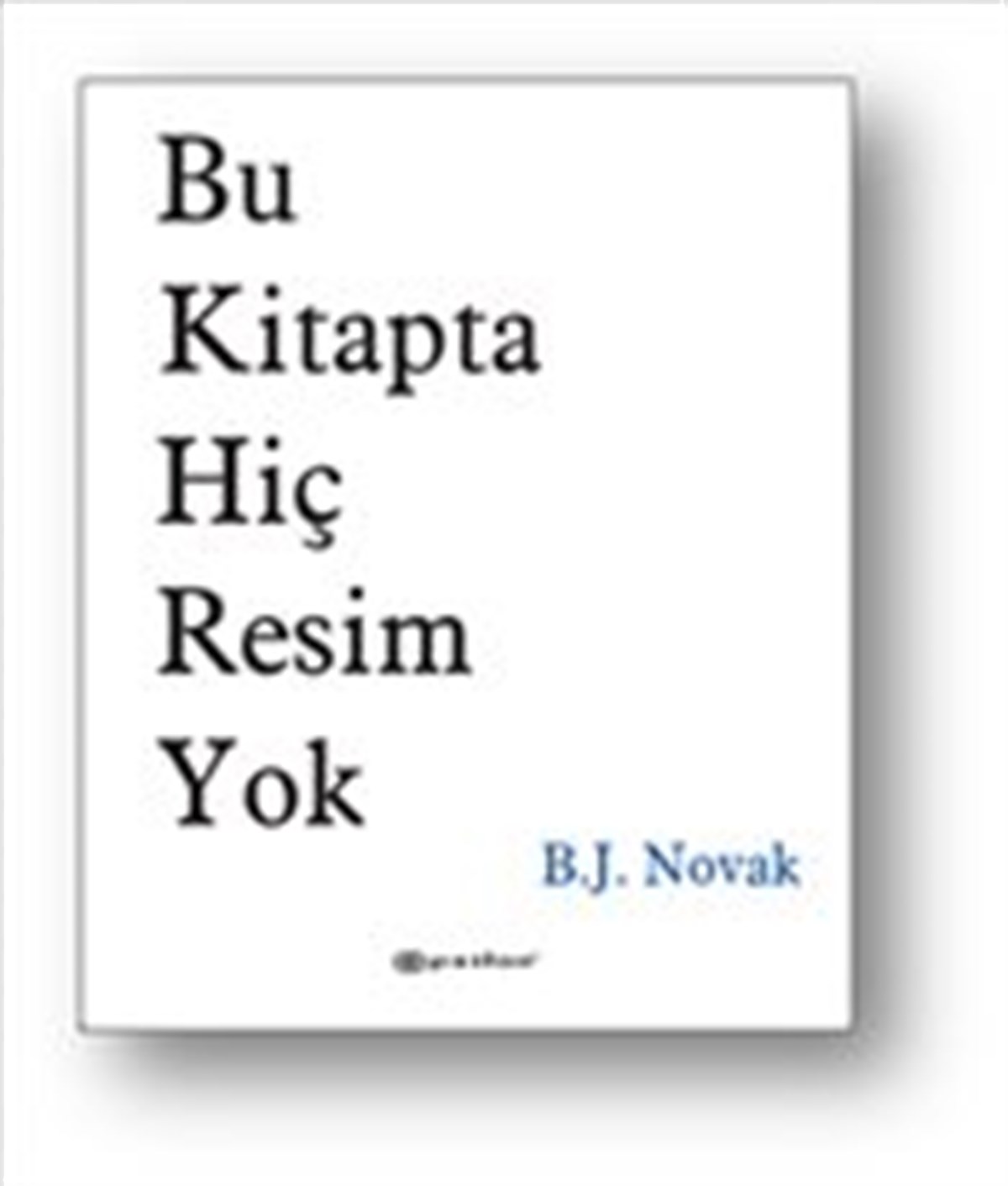 Bu Kitapta Hiç Resim Yok