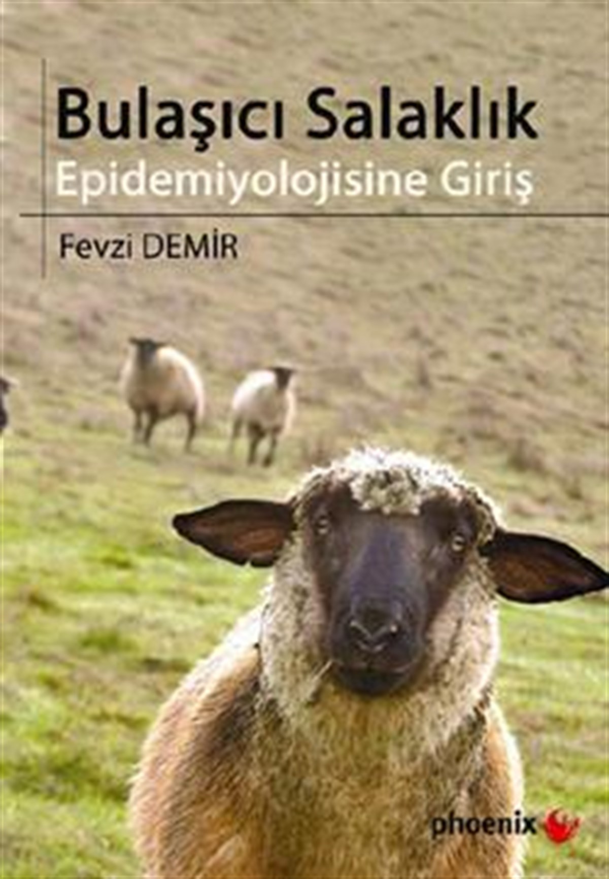 Bulaşıcı Salaklık Epidemiyolojisine Giriş