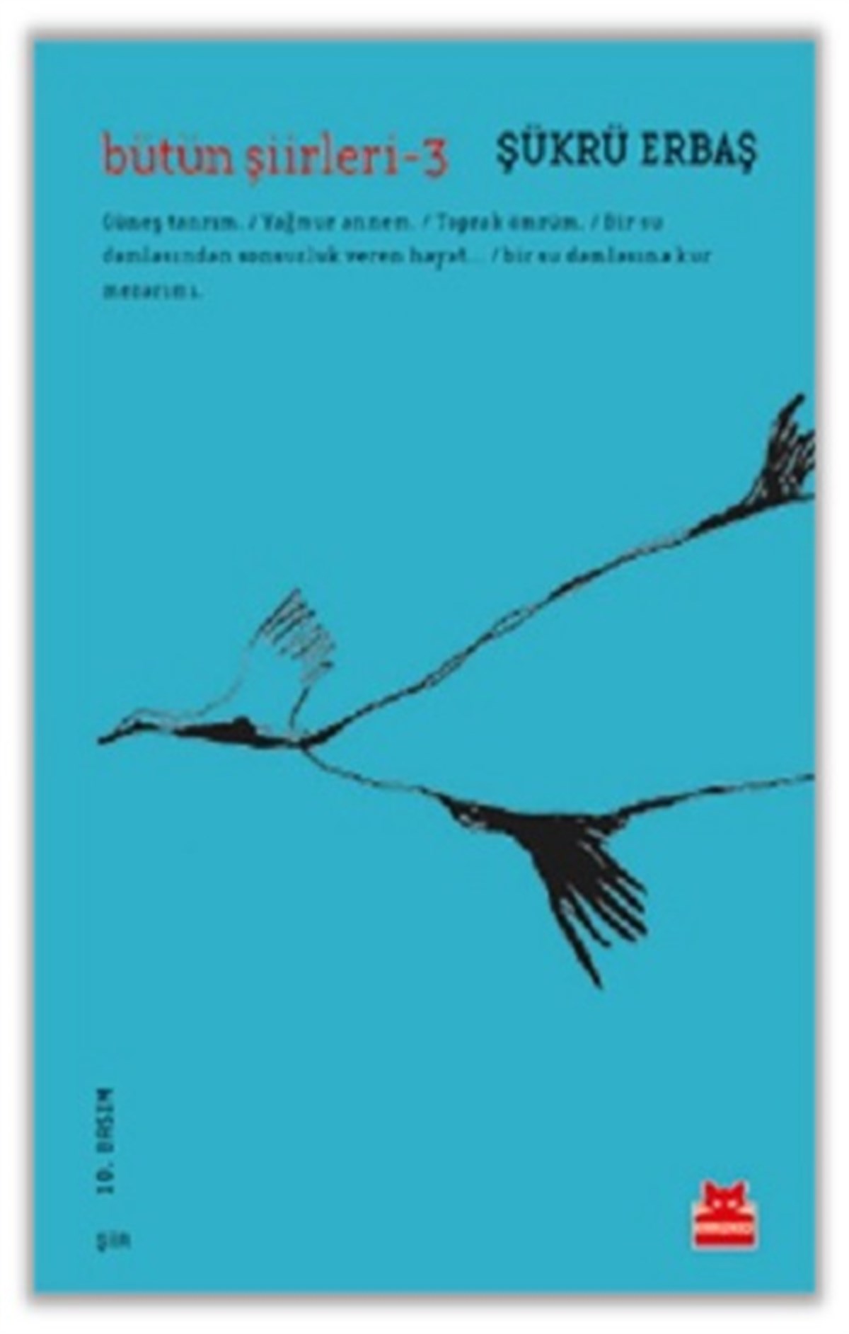 Bütün Şiirleri - 3