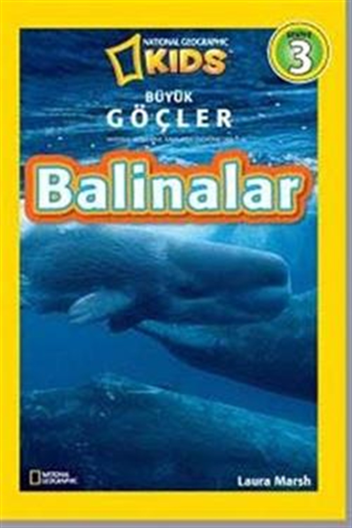 Büyük Göçler - Balinalar - Seviye 3