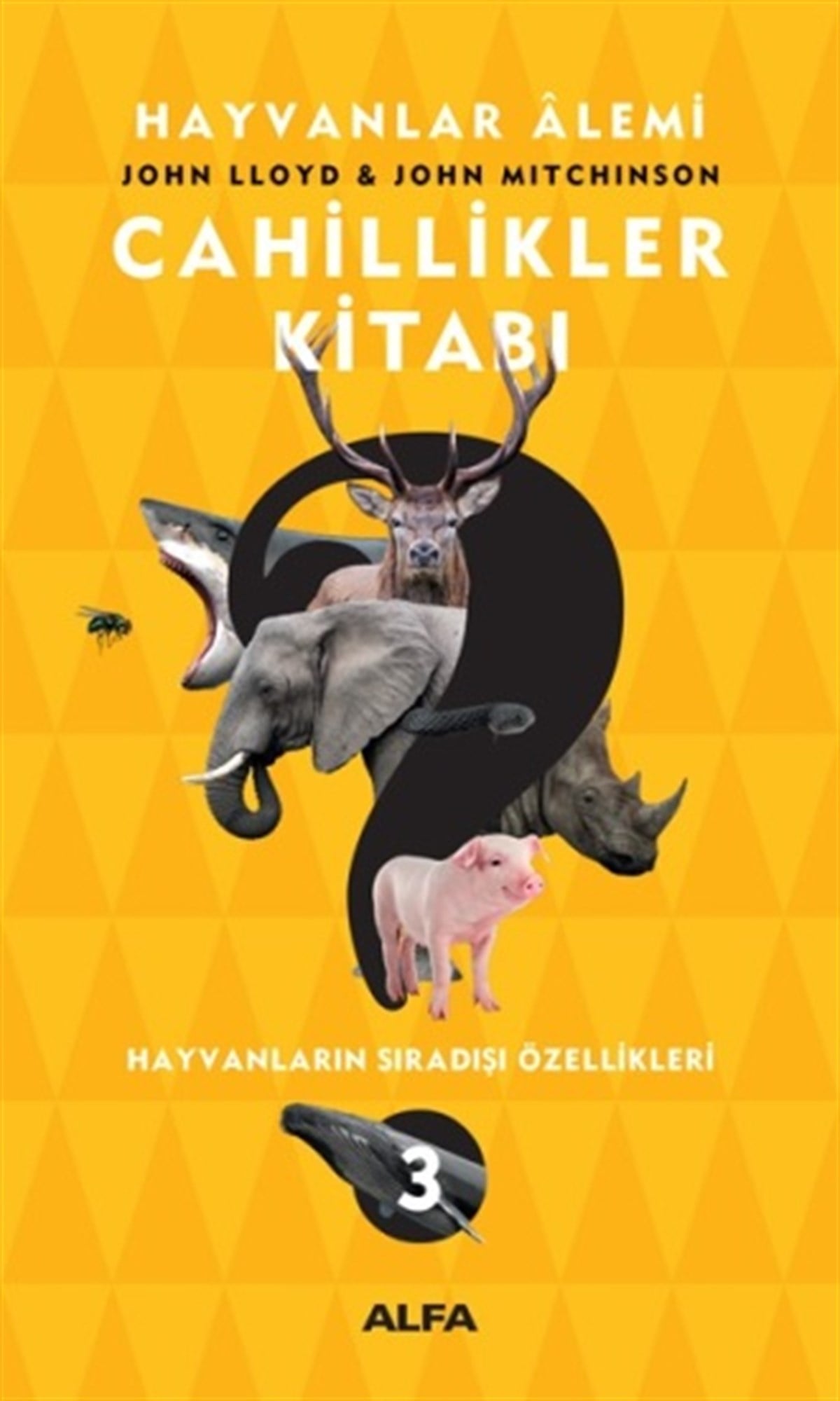 Cahillikler Kitabı