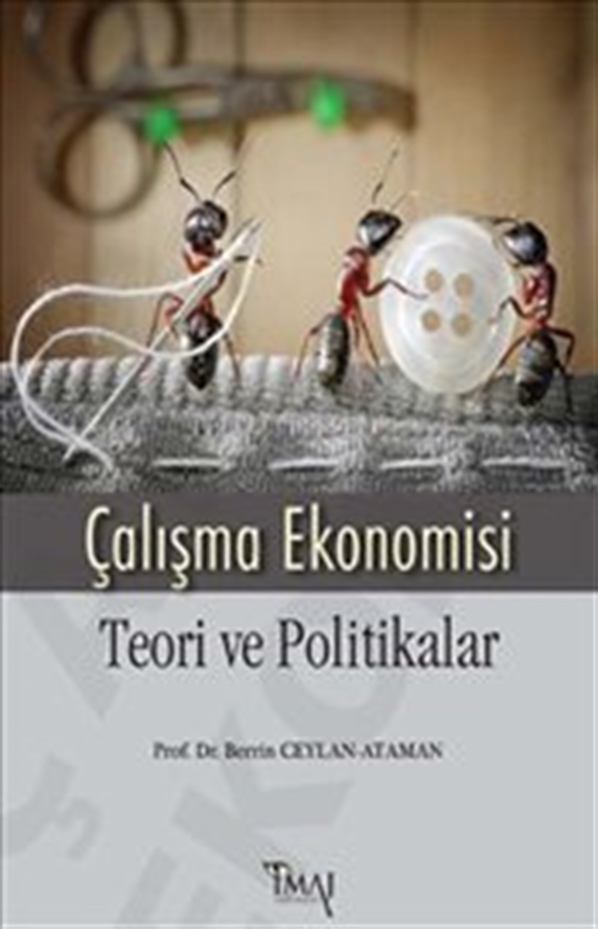 Çalışma Ekonomisi : Teori ve Politikalar