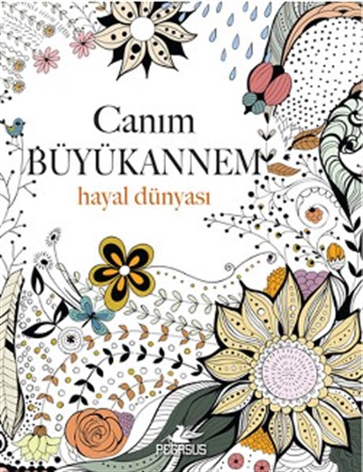 Canım Büyükannem : Hayal Dünyası