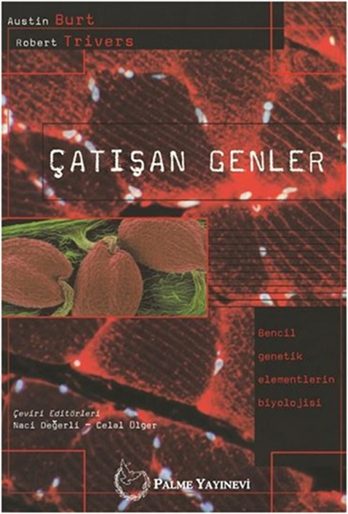 Çatışan Genler
