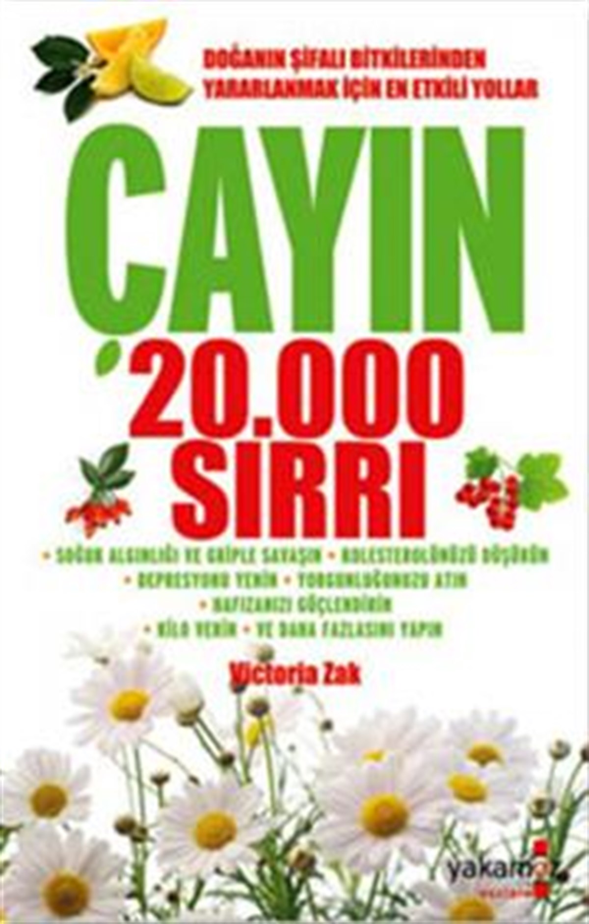 Çayın 20.000 Sırrı