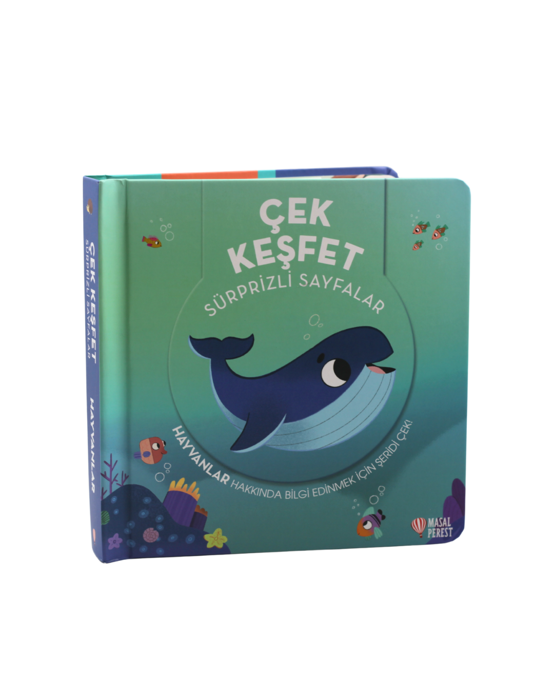 Çek Keşfet Hayvanlar