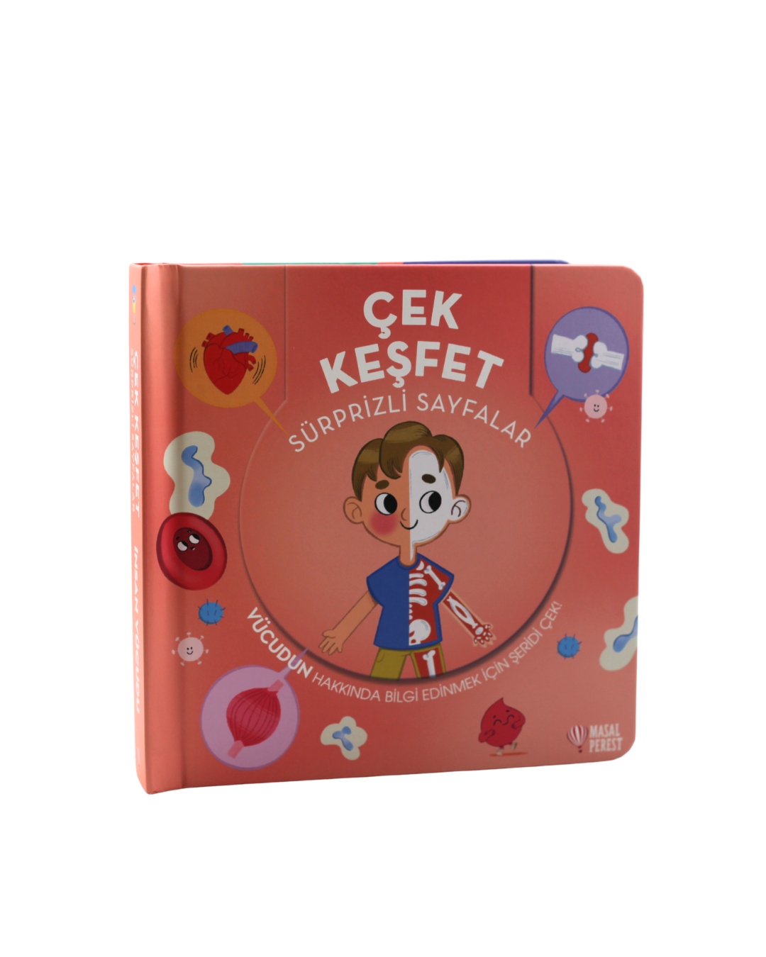 Çek Keşfet İnsan Vücudu