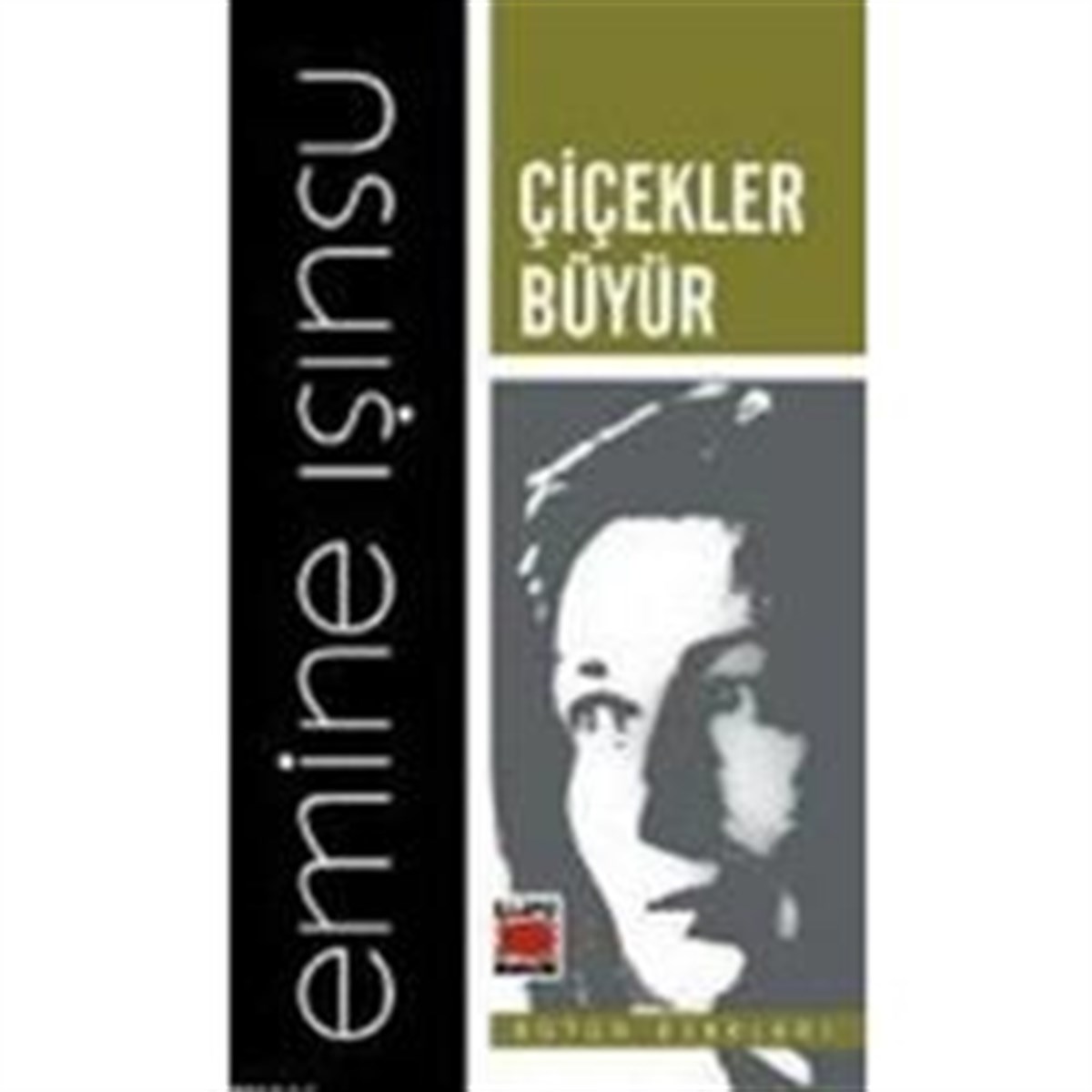 Çiçekler Büyür