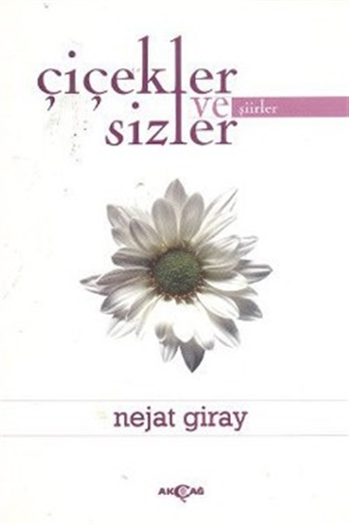 Çiçekler ve Sizler