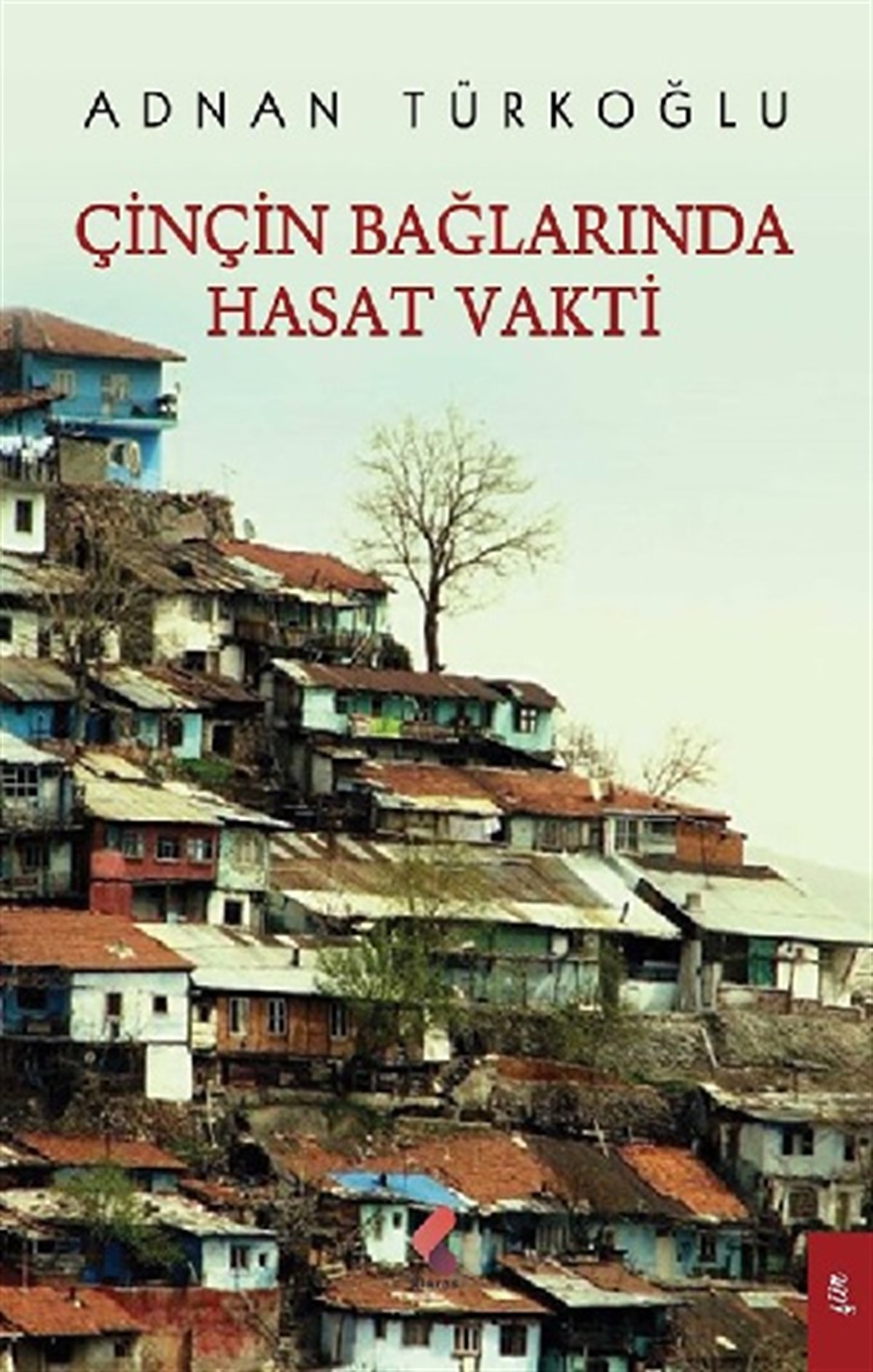 Çinçin Bağlarında Hasat Vakti