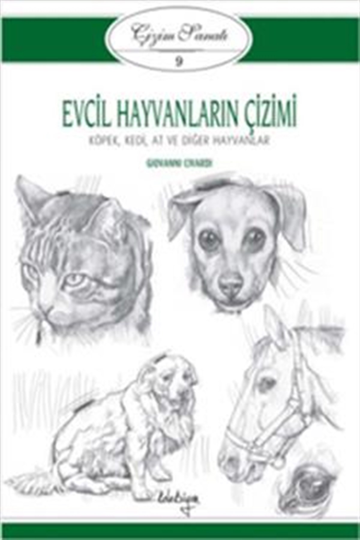 Çizim Sanatı 9 - Evcil Hayvanların Çizimi