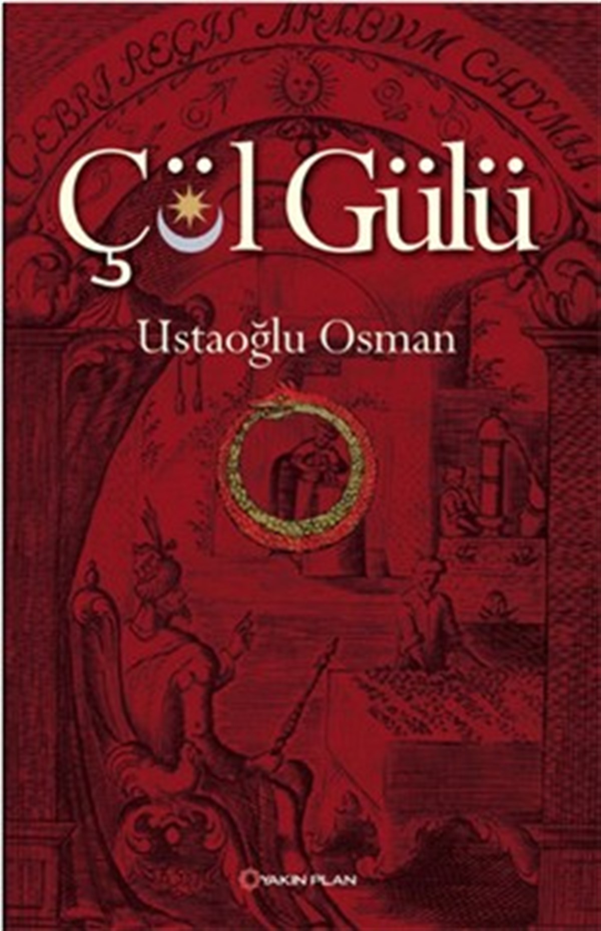 Çöl Gülü