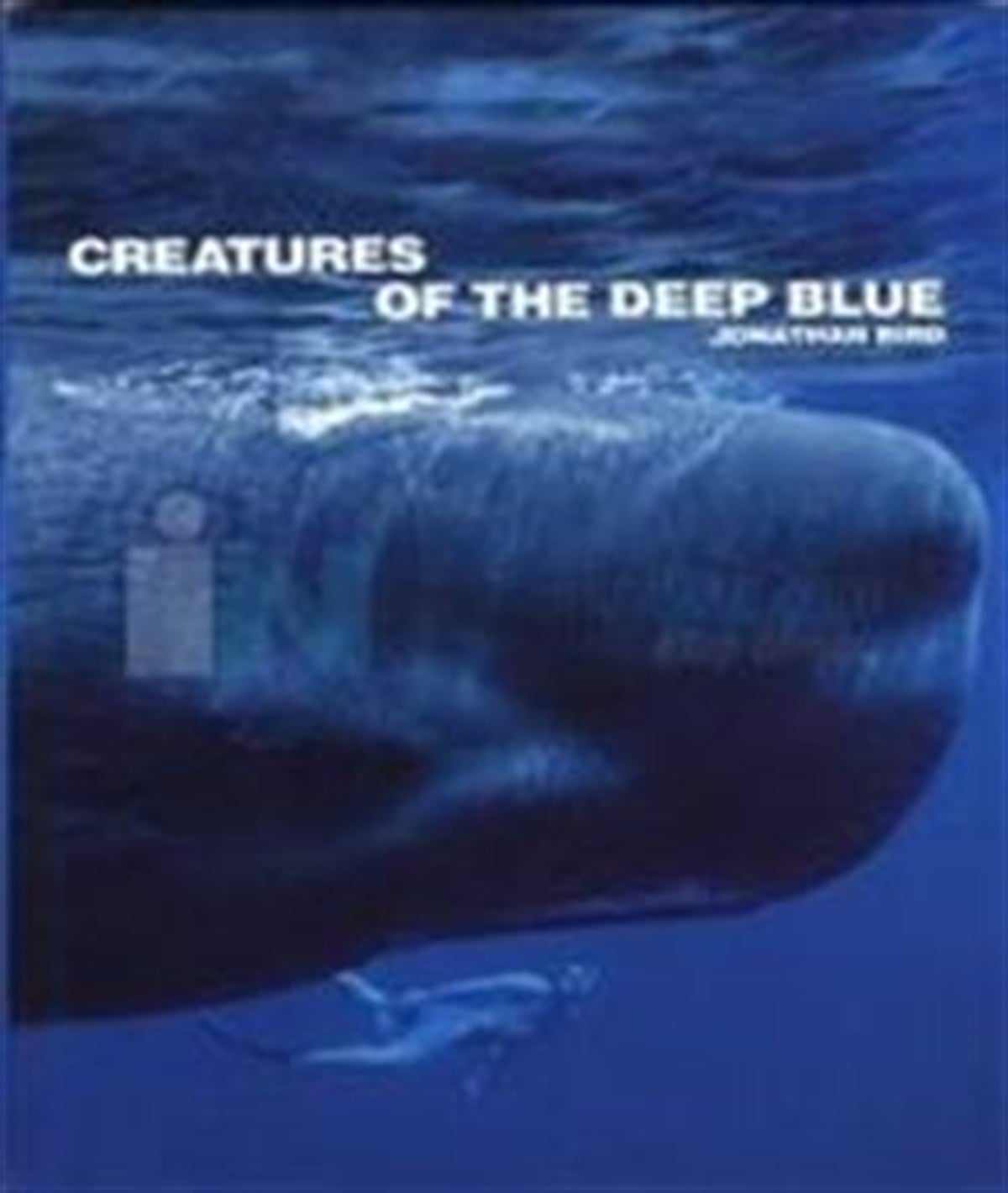Creatures Of The Deep Blue
