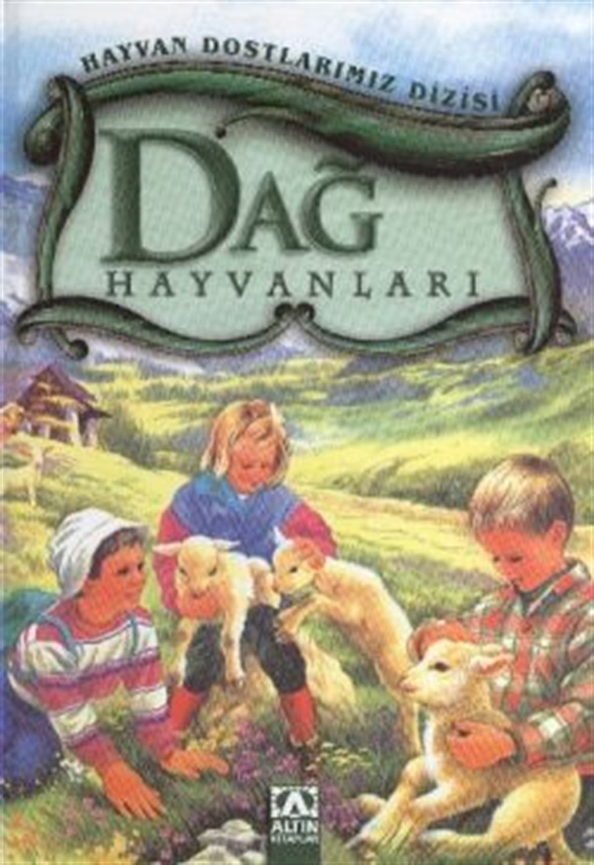 Dağ Hayvanları