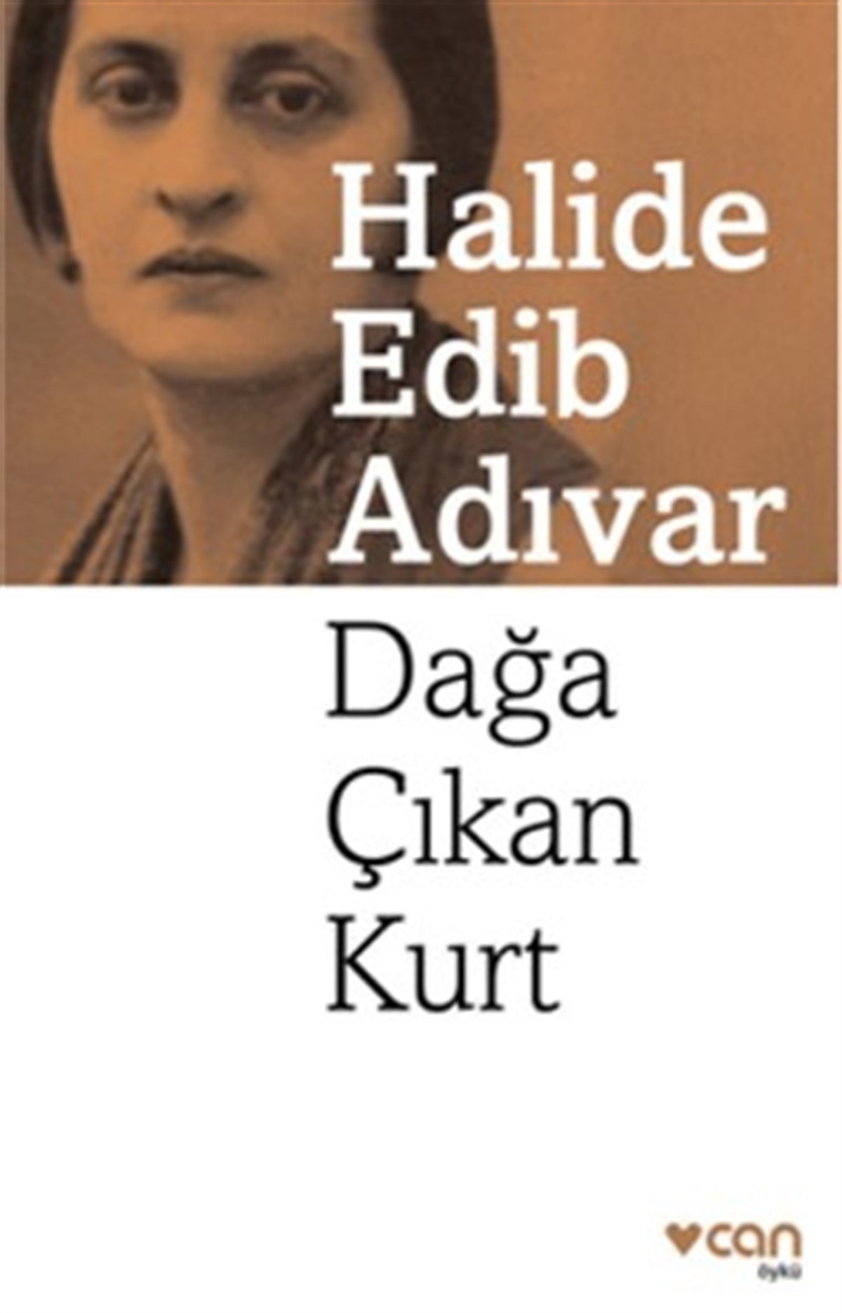 Dağa Çıkan Kurt
