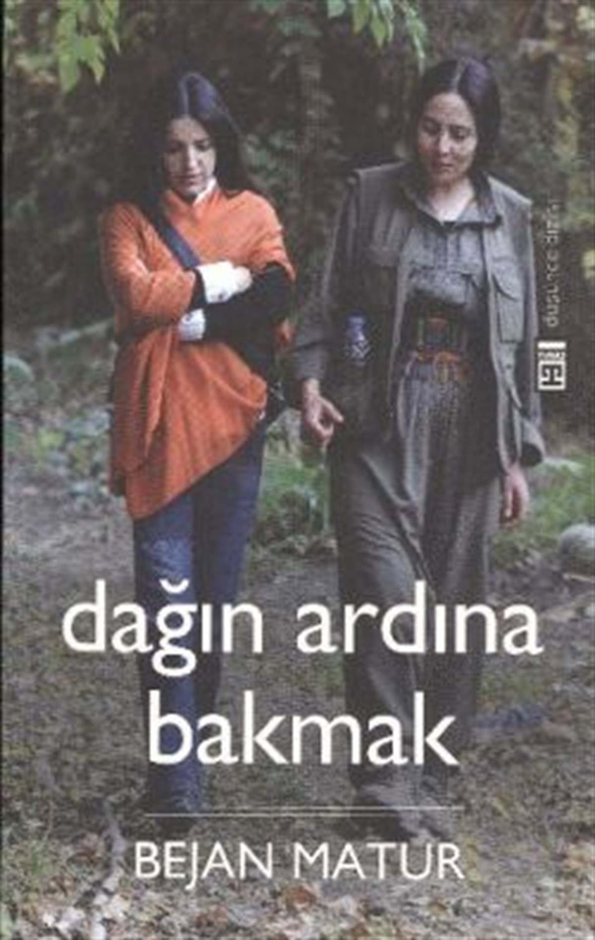 Dağın Ardına Bakmak