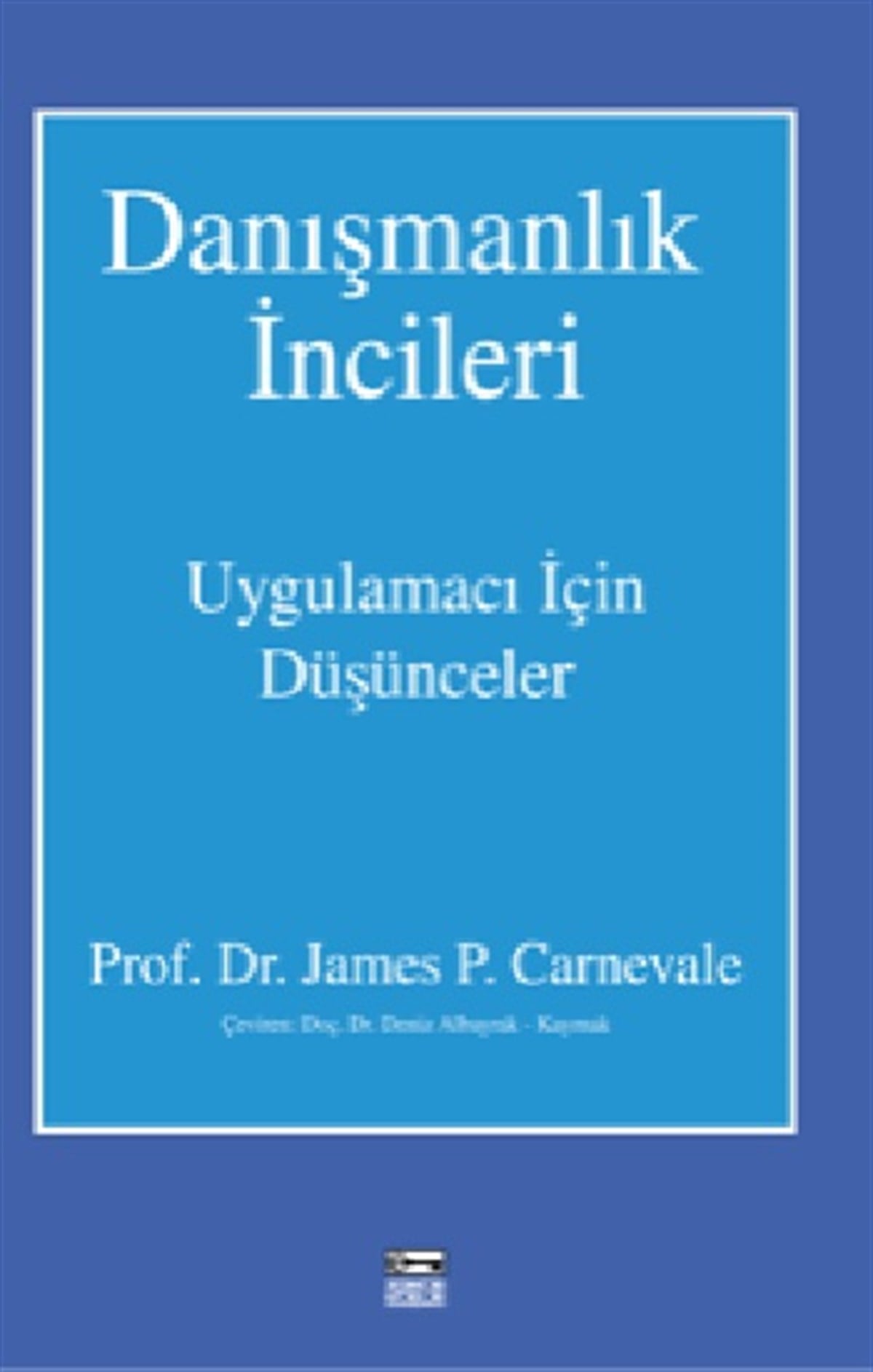Danışmanlık İncileri