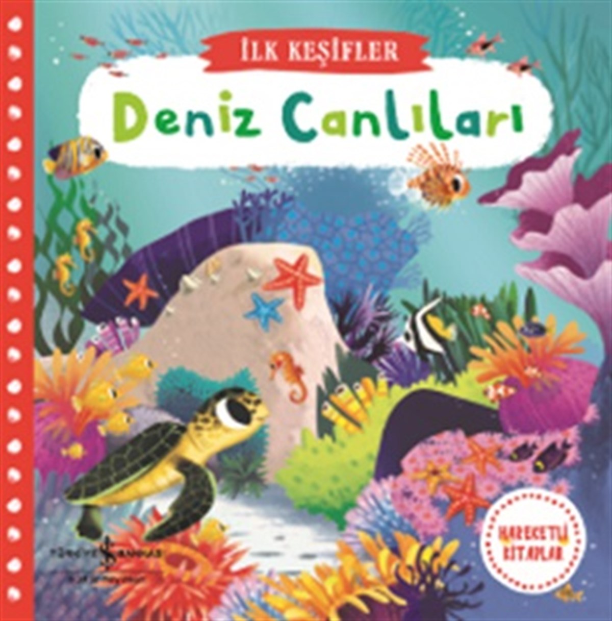 Deniz Canlıları - İlk Keşifler