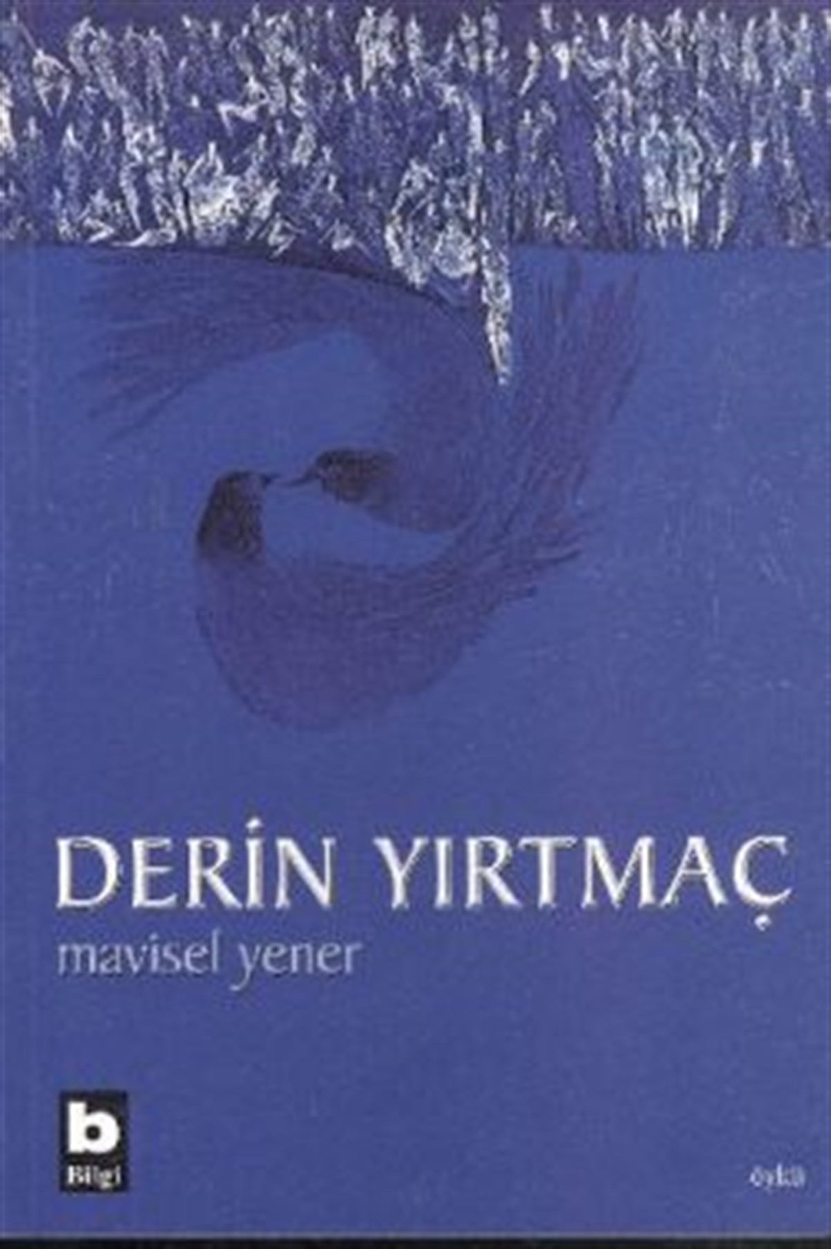 Derin Yırtmaç