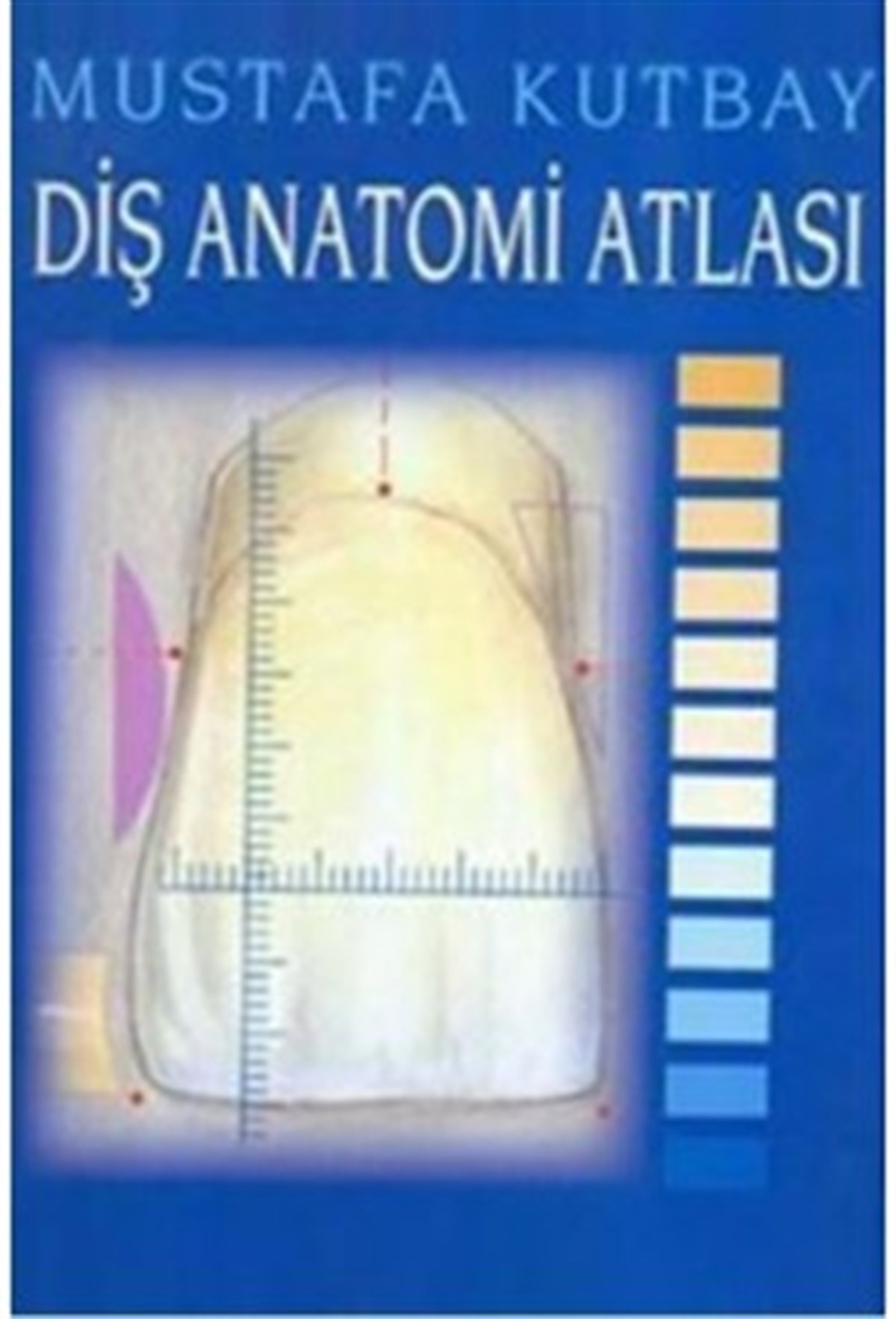 Diş Anatomi Atlası (Mustafa Kutbay)