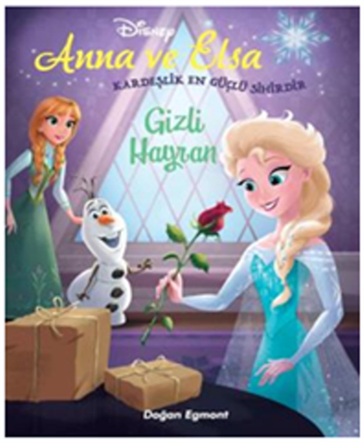 Disney Karlar Ülkesi Anna Ve Elsa Gizli Hayran