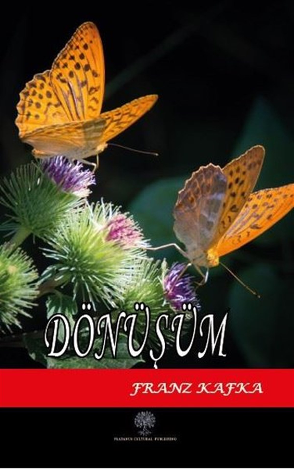 Dönüşüm