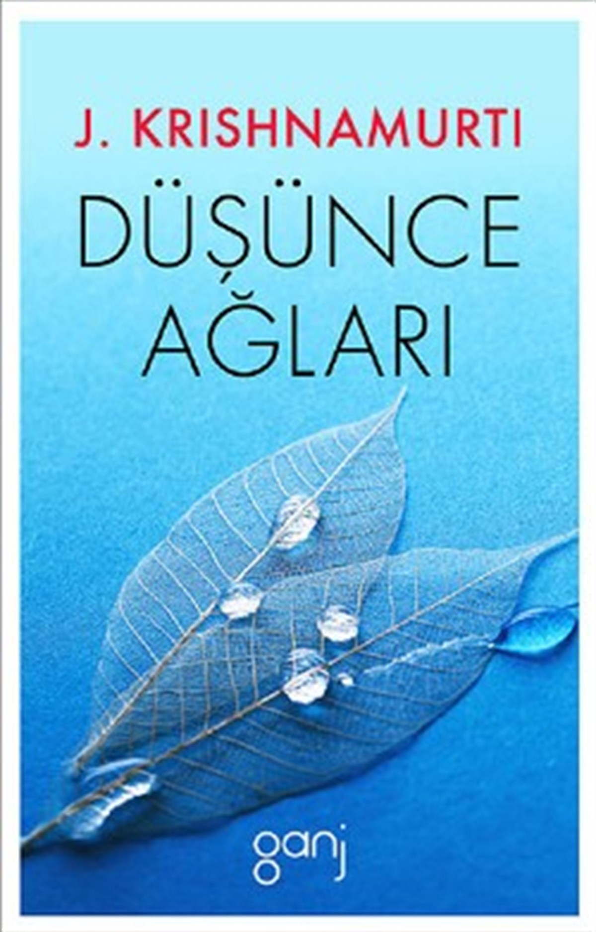 Düşünce Ağları