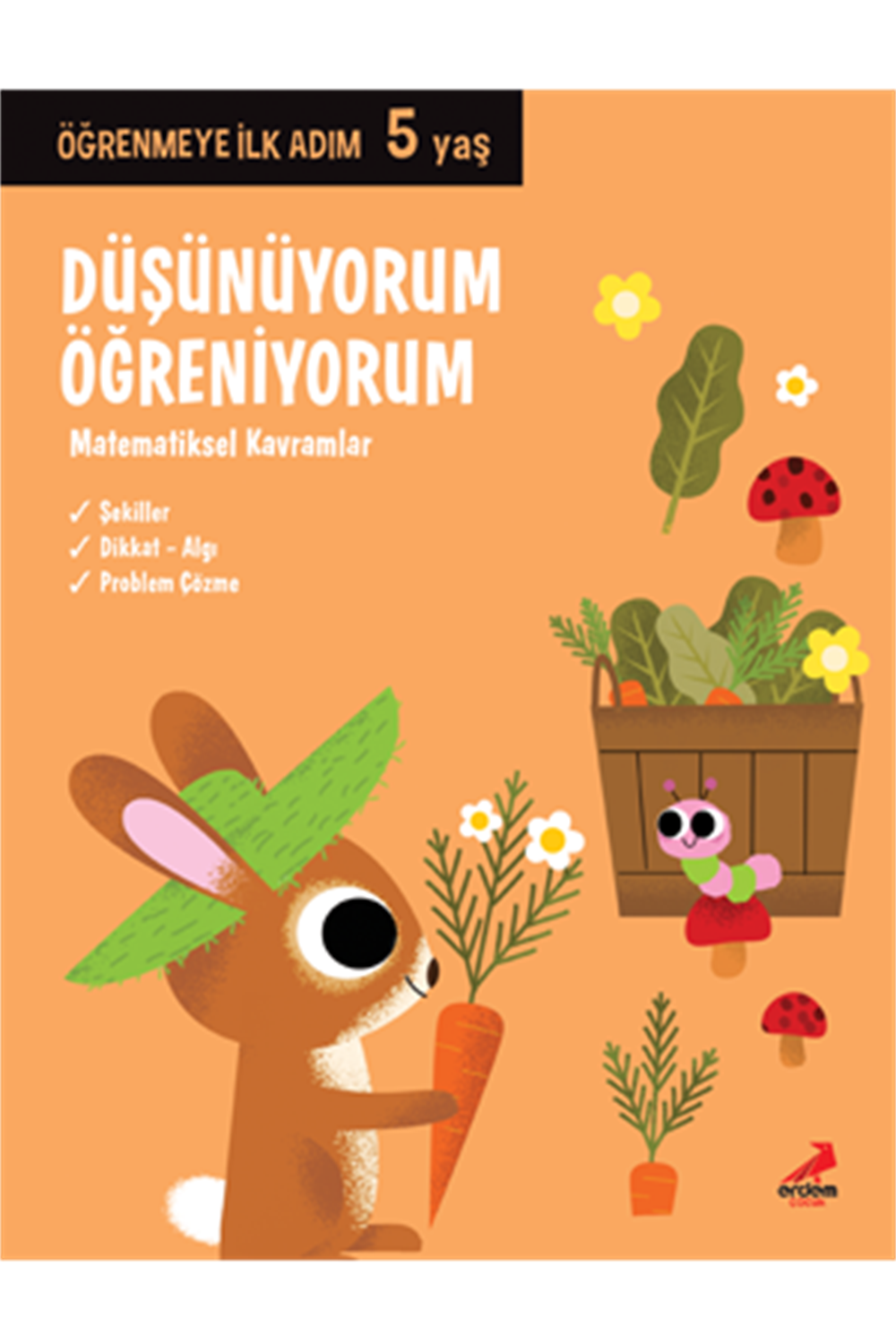 Düşünüyorum Öğreniyorum 5 Yaş