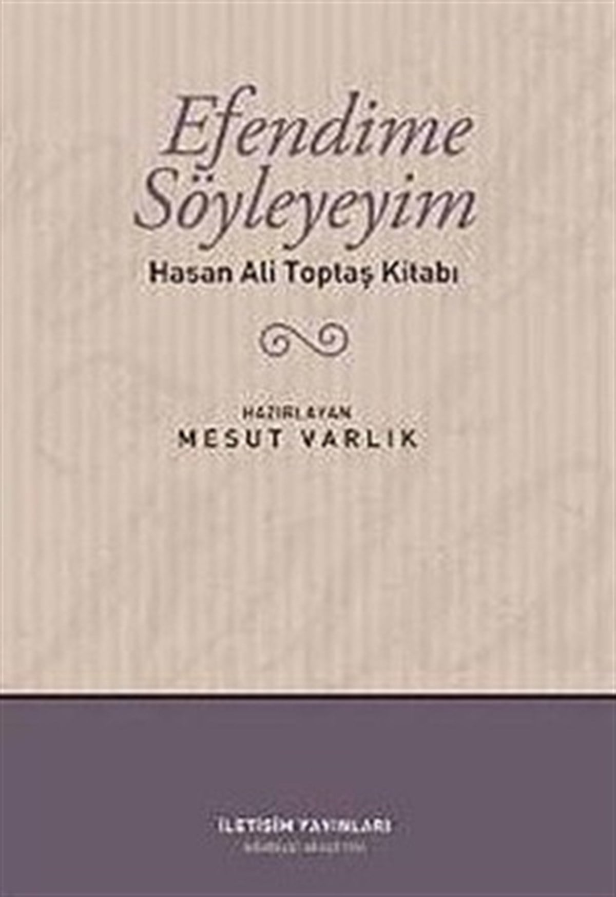 Efendime Söyleyeyim: Hasan Ali Toptaş Kitabı