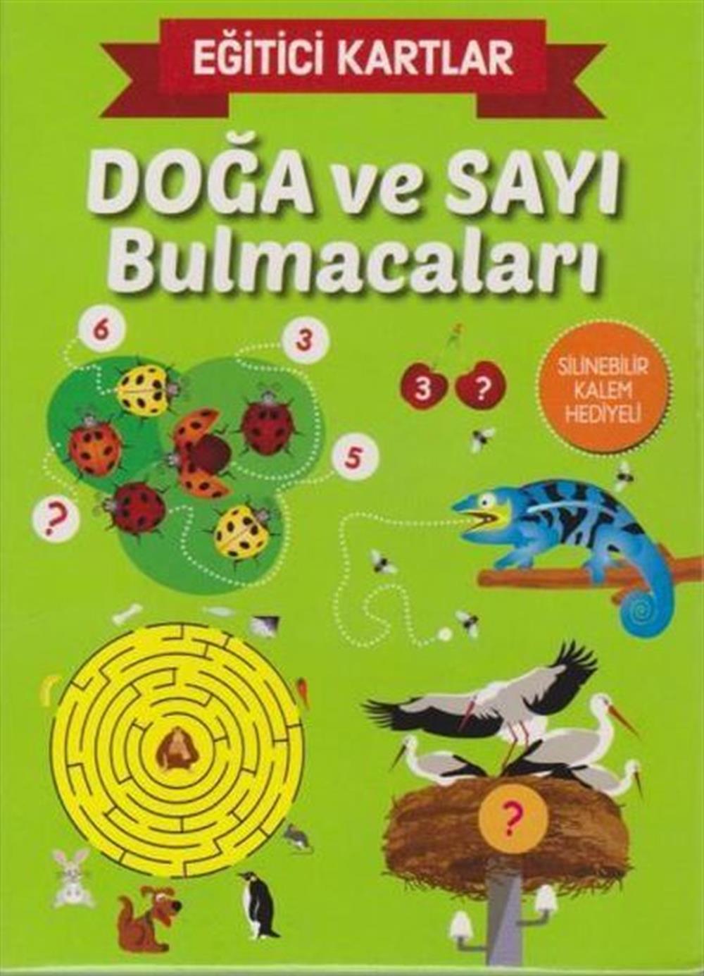 Eğitici Kartlar Doğa ve Sayı Bulmacaları