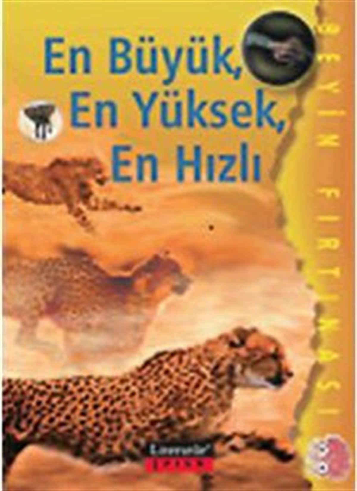 En Büyük, En Yüksek, En Hızlı