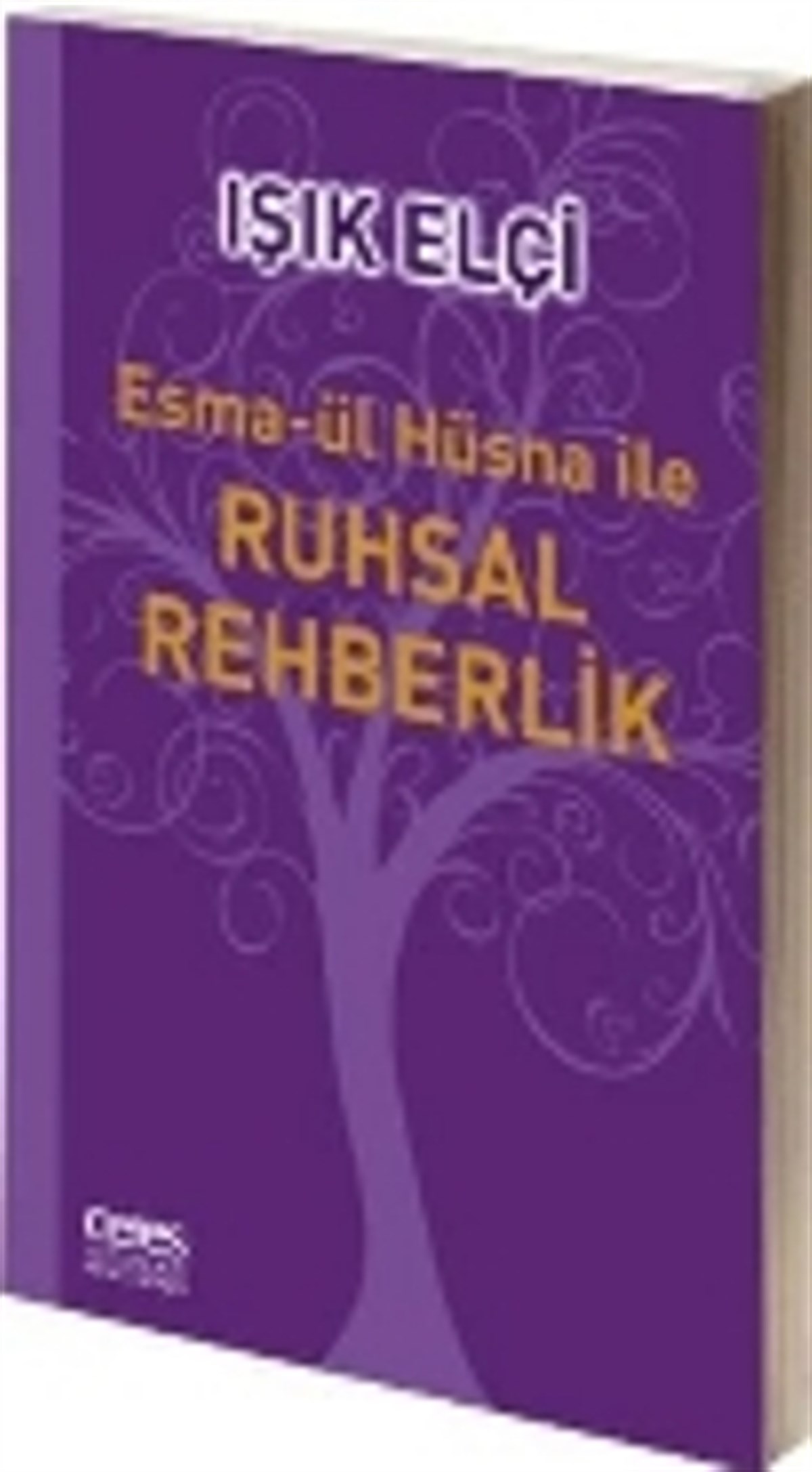 Esma-ül Hüsna ile Ruhsal Rehberlik