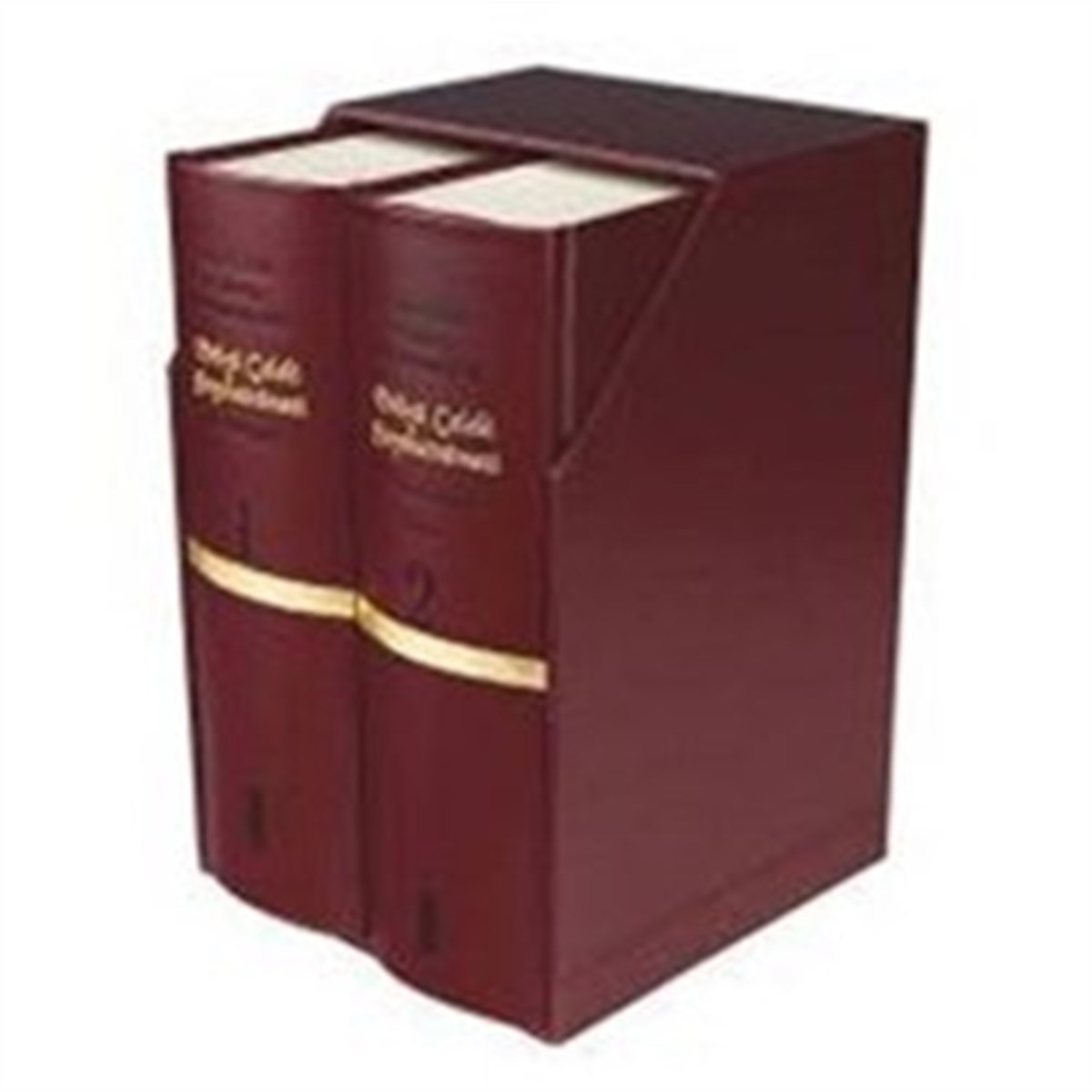 Evliya Çelebi Seyahatnamesi (2 Cilt Takım - Kutulu)