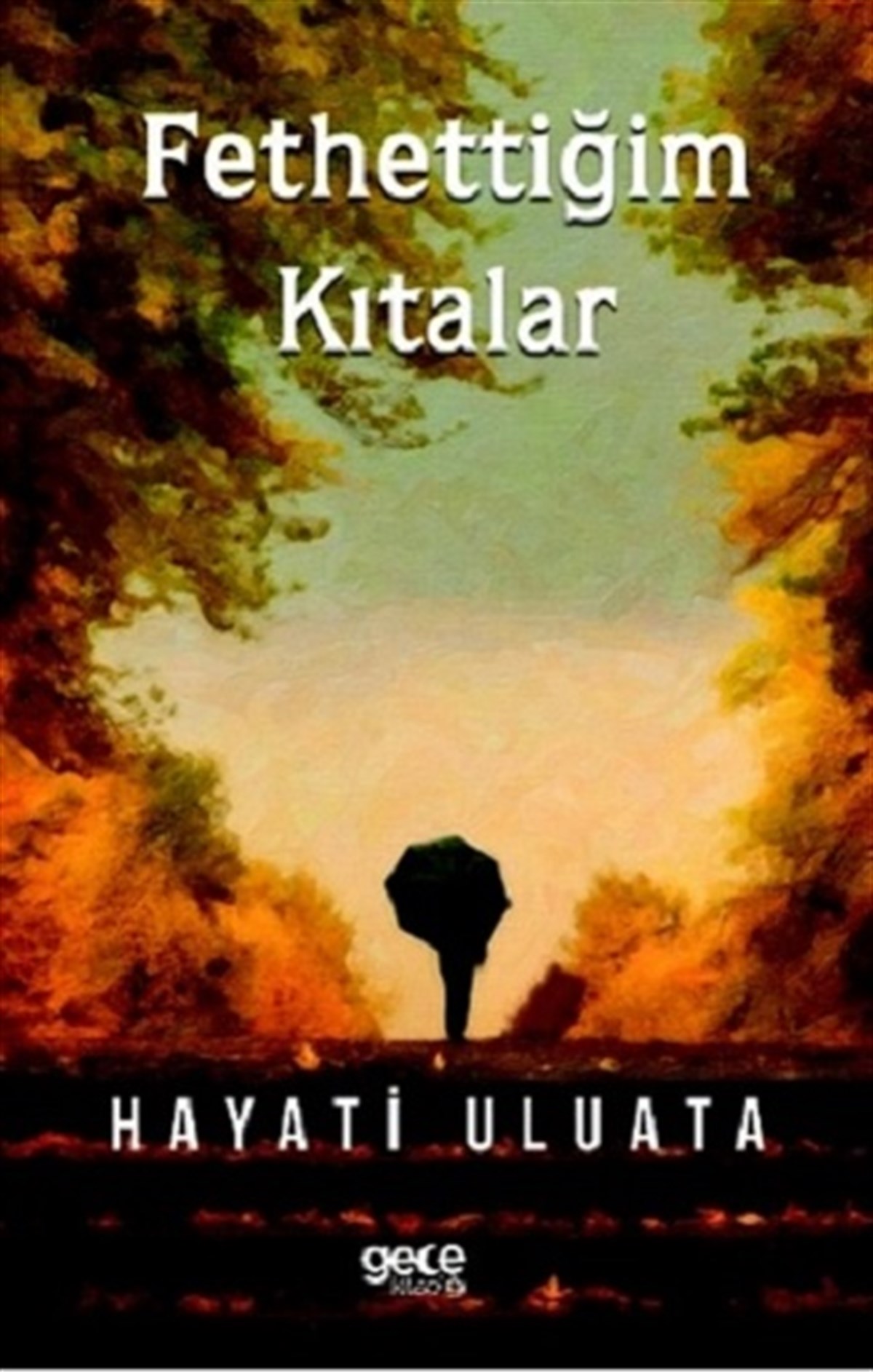 Fethettiğim Kıtalar