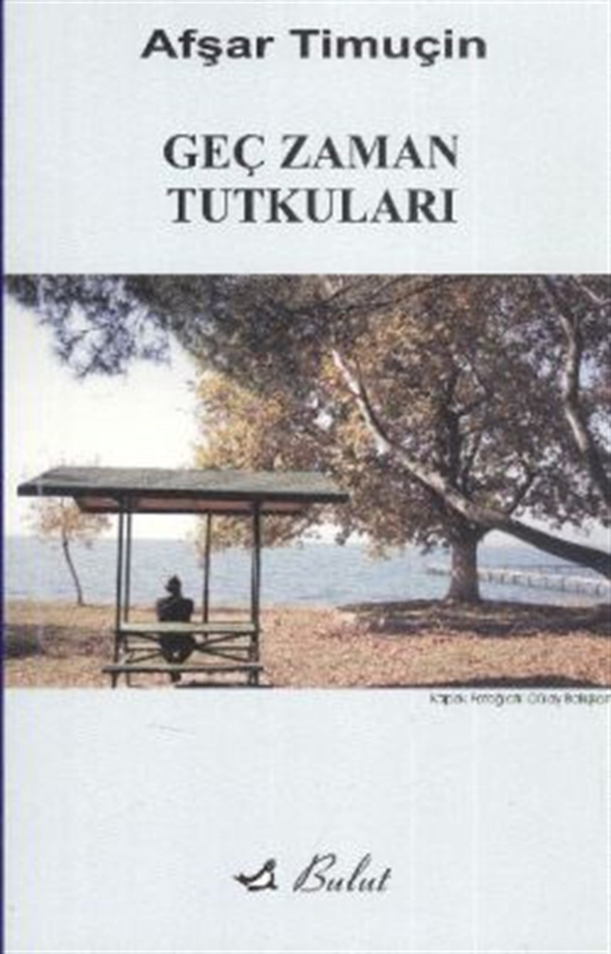 Geç Zaman Tutkuları