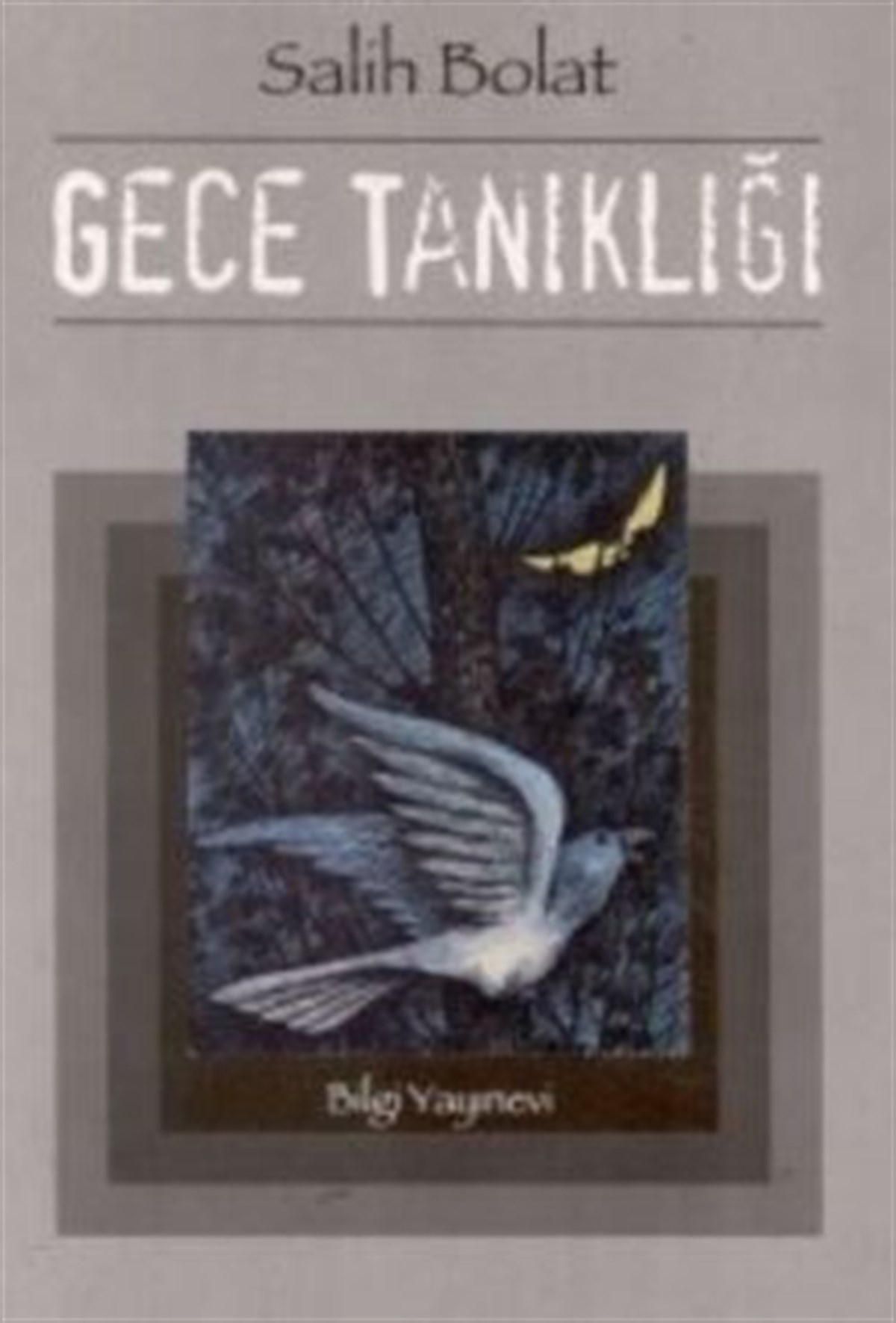 Gece Tanıklığı