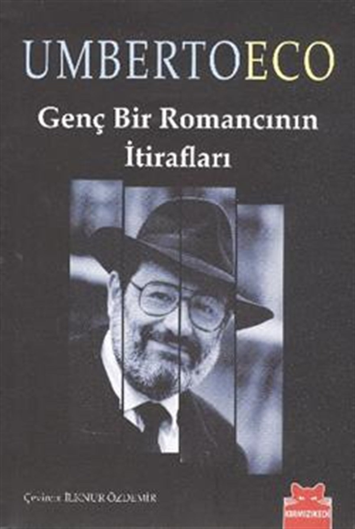 Genç Bir Romancının İtirafları