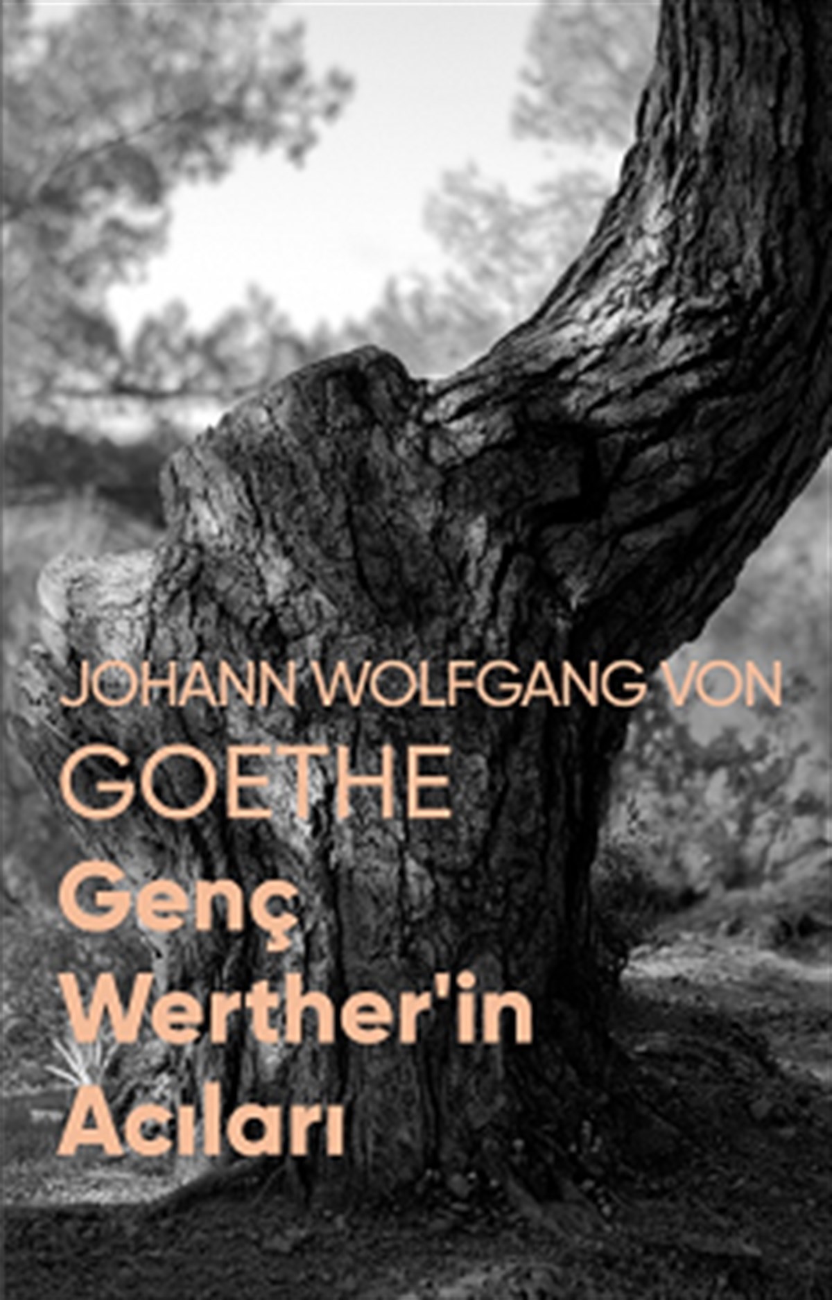 Genç Werther’in Acıları (Fotoğraflı Klasikler)