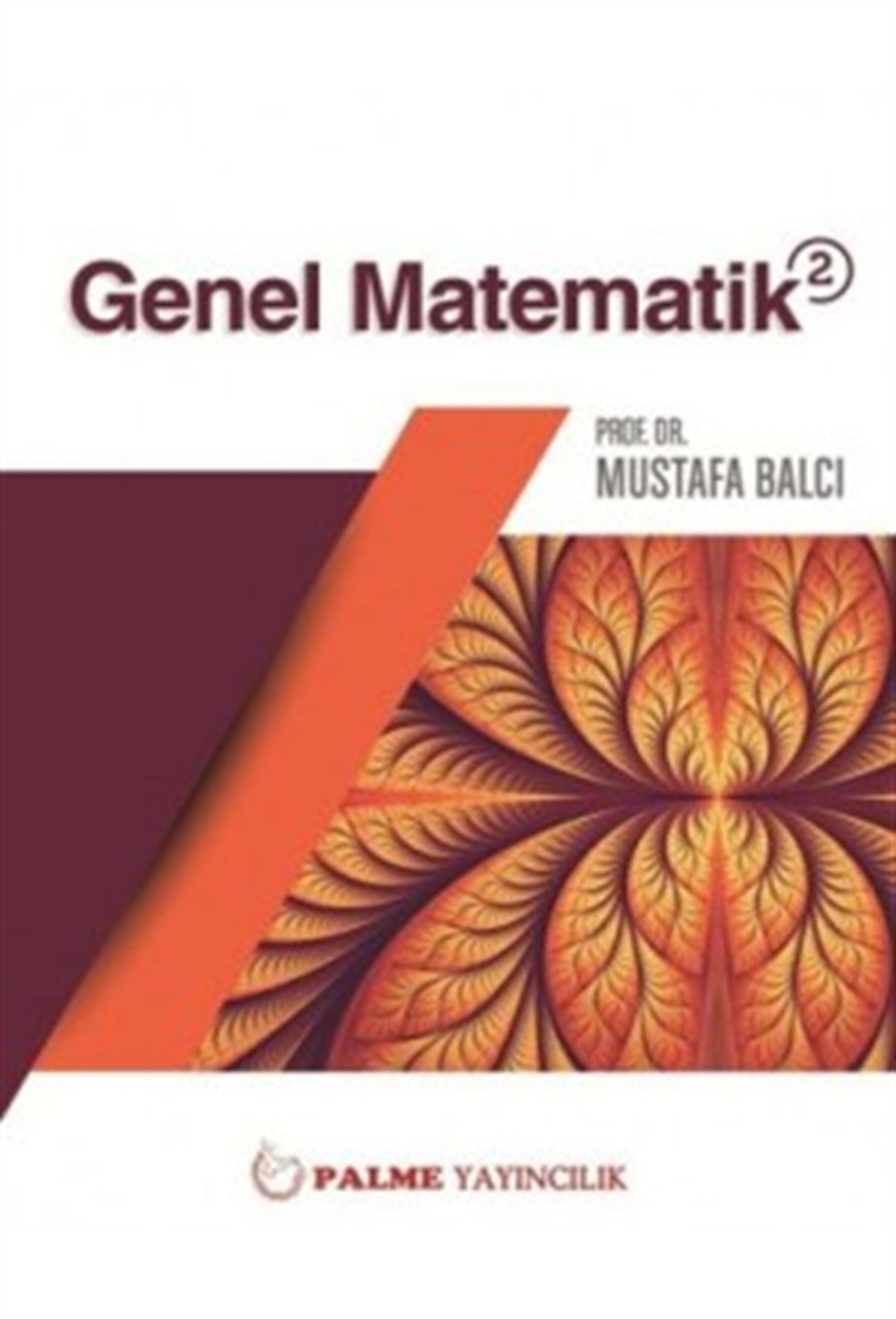 Genel Matematik 2