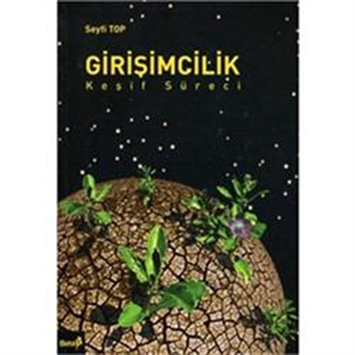 Girişimcilik