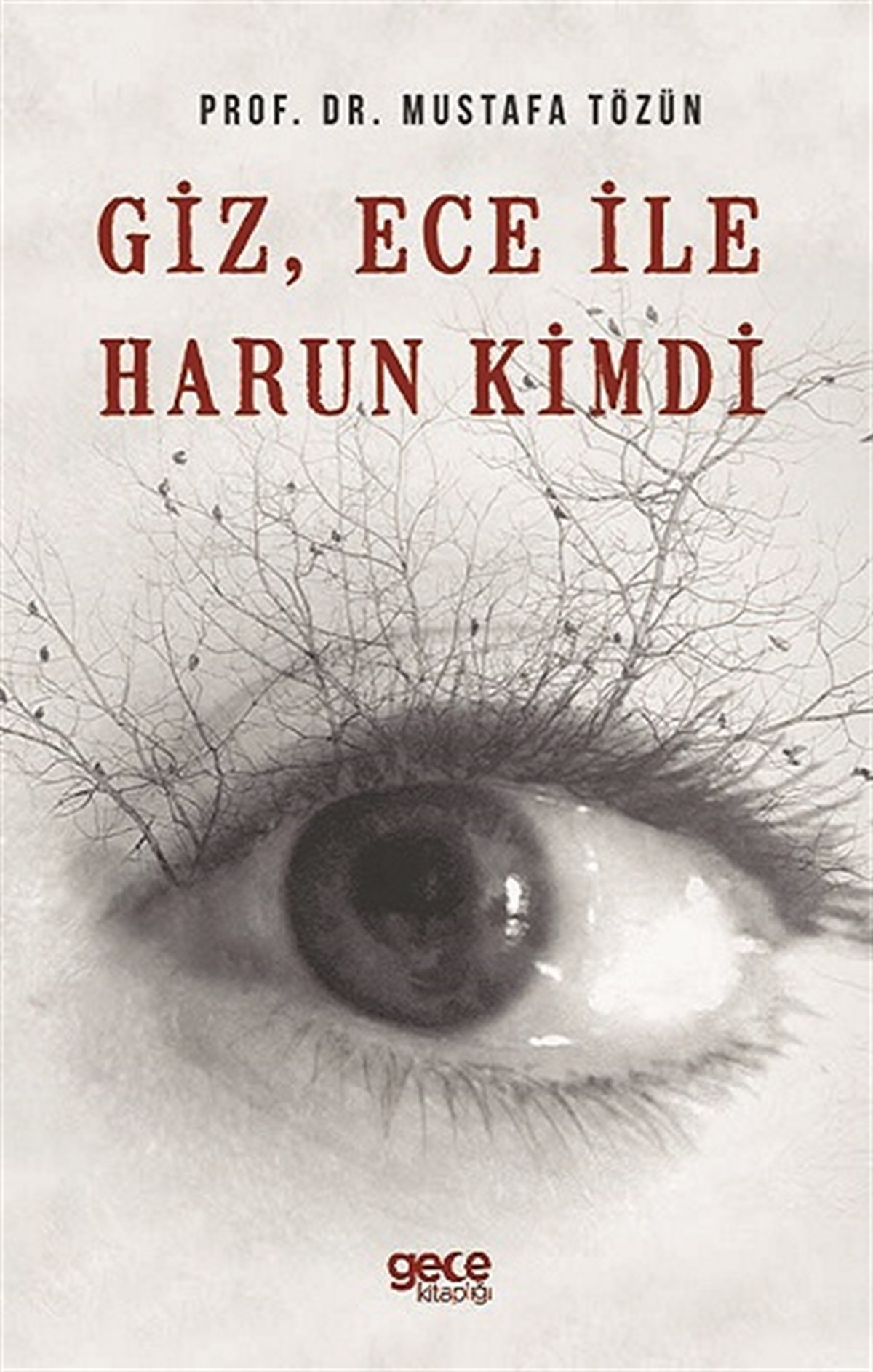 Giz, Ece İle Harun Kimdi