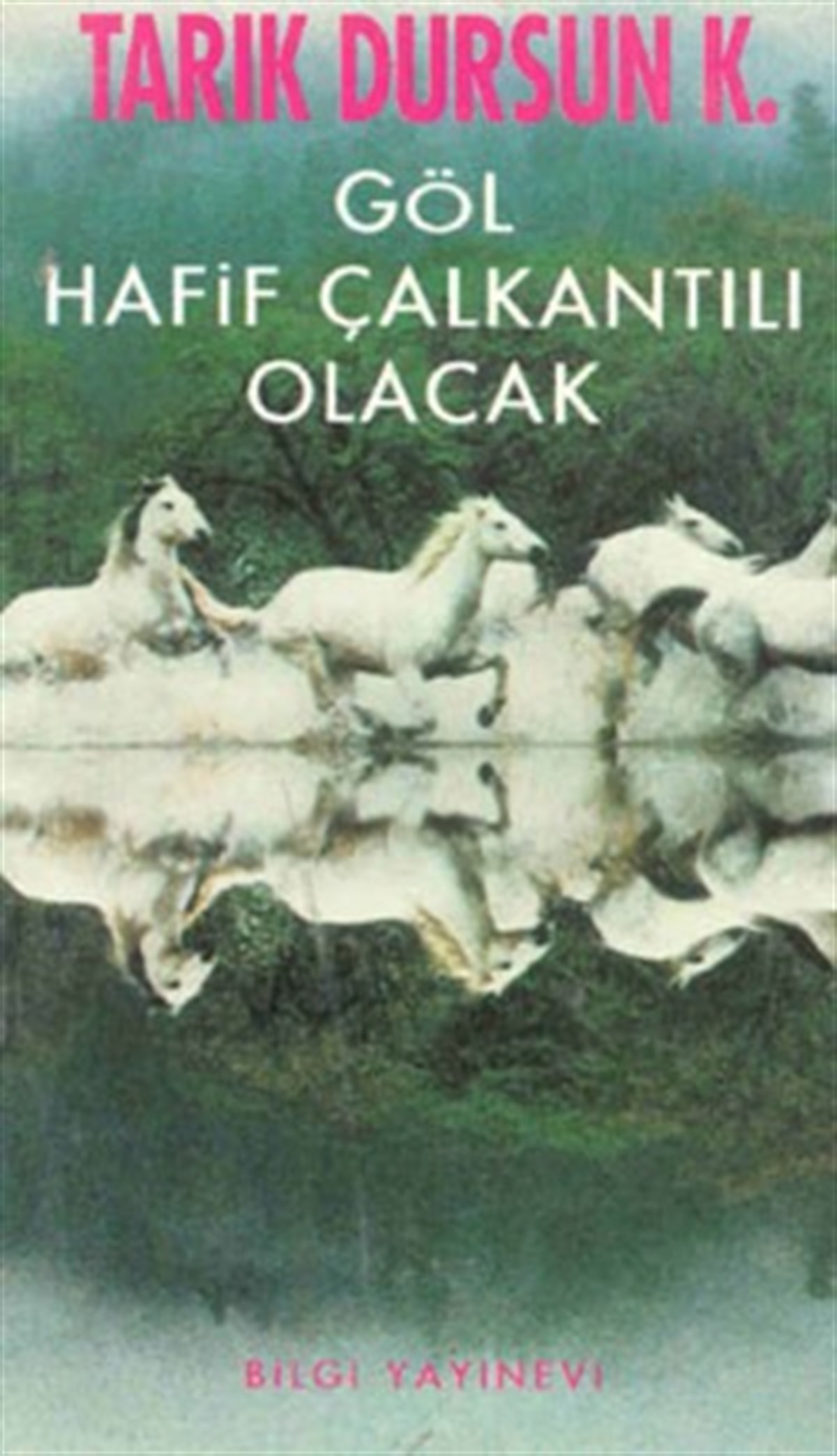 Göl Hafif Çalkantılı Olacak