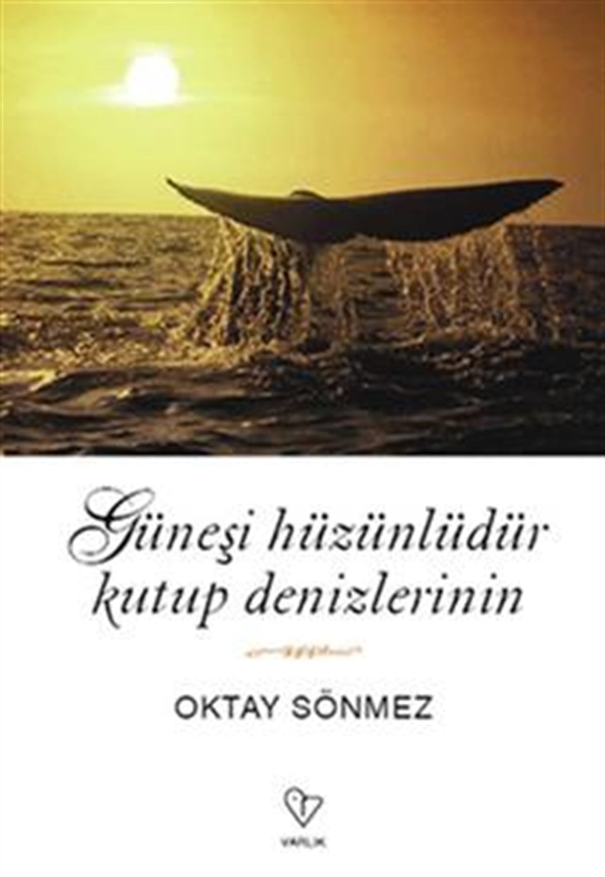 Güneşi Hüzünlüdür Kutup Denizlerinin