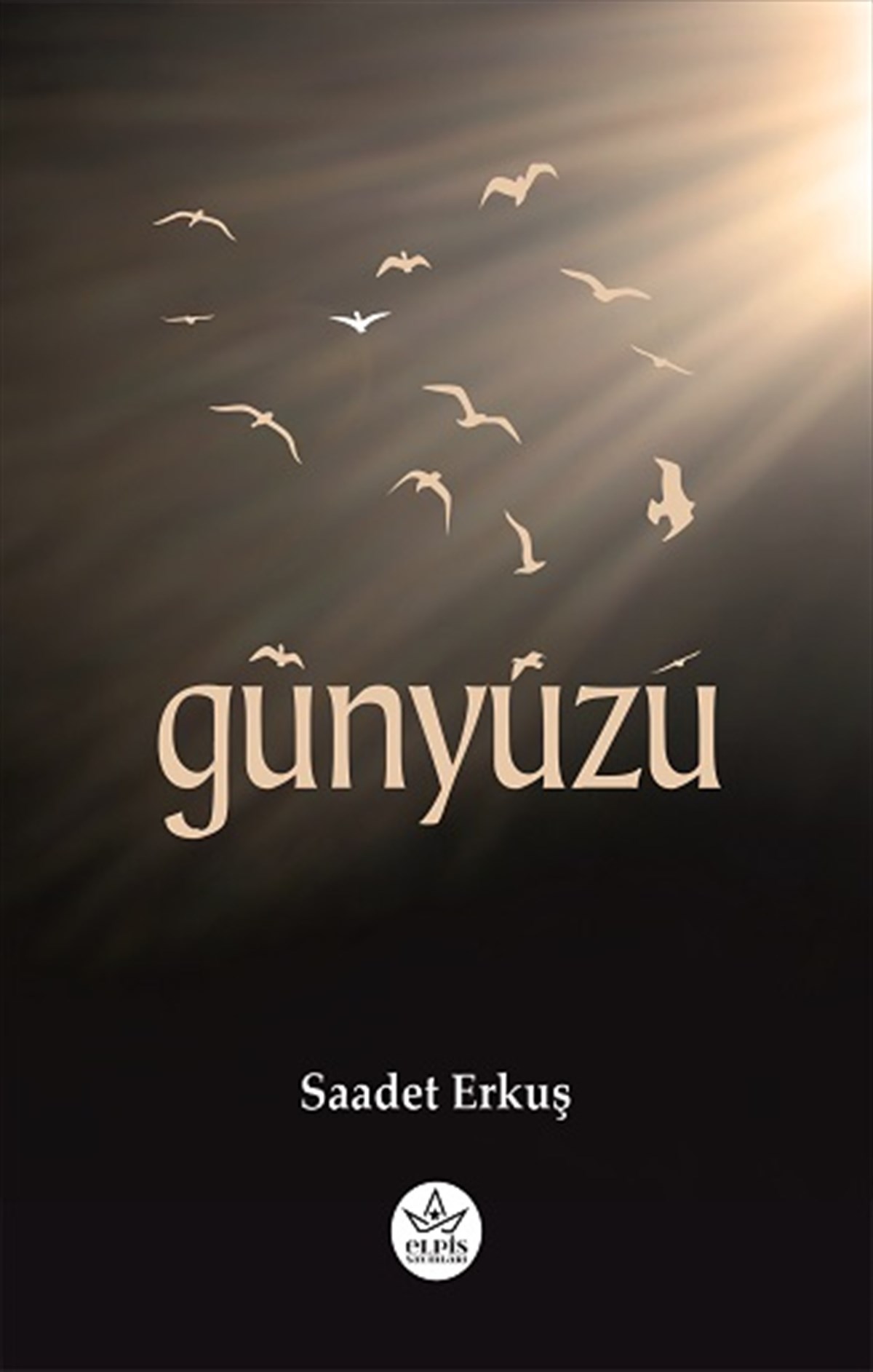 Günyüzü