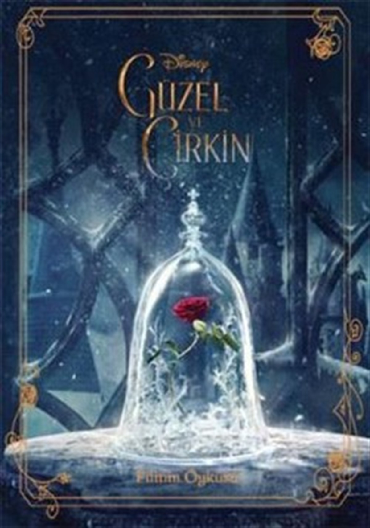 Güzel ve Çirkin Filmin Öyküsü