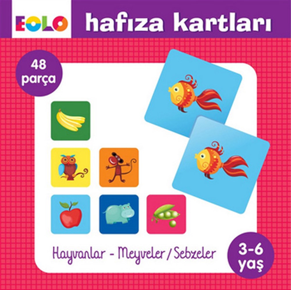 Hafıza Kartları