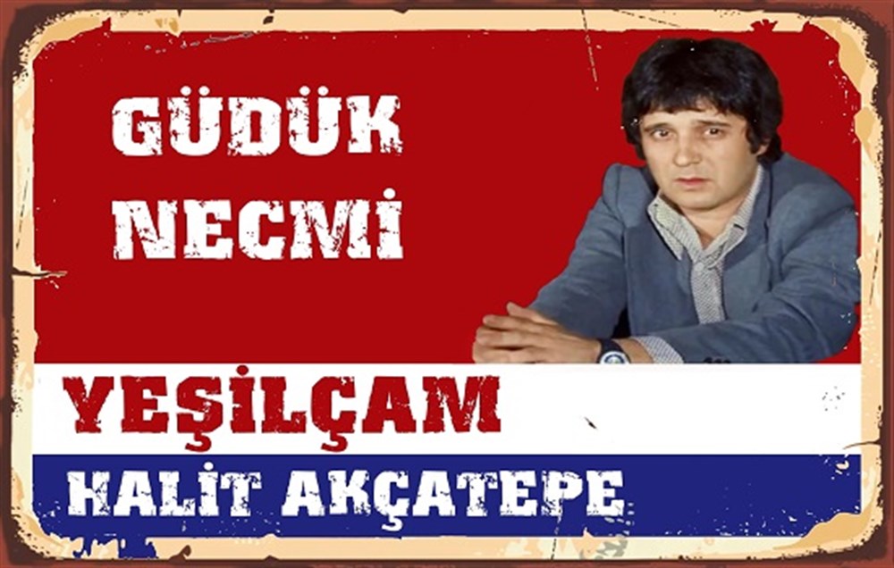 HALİT AKÇATEPE - POSTER