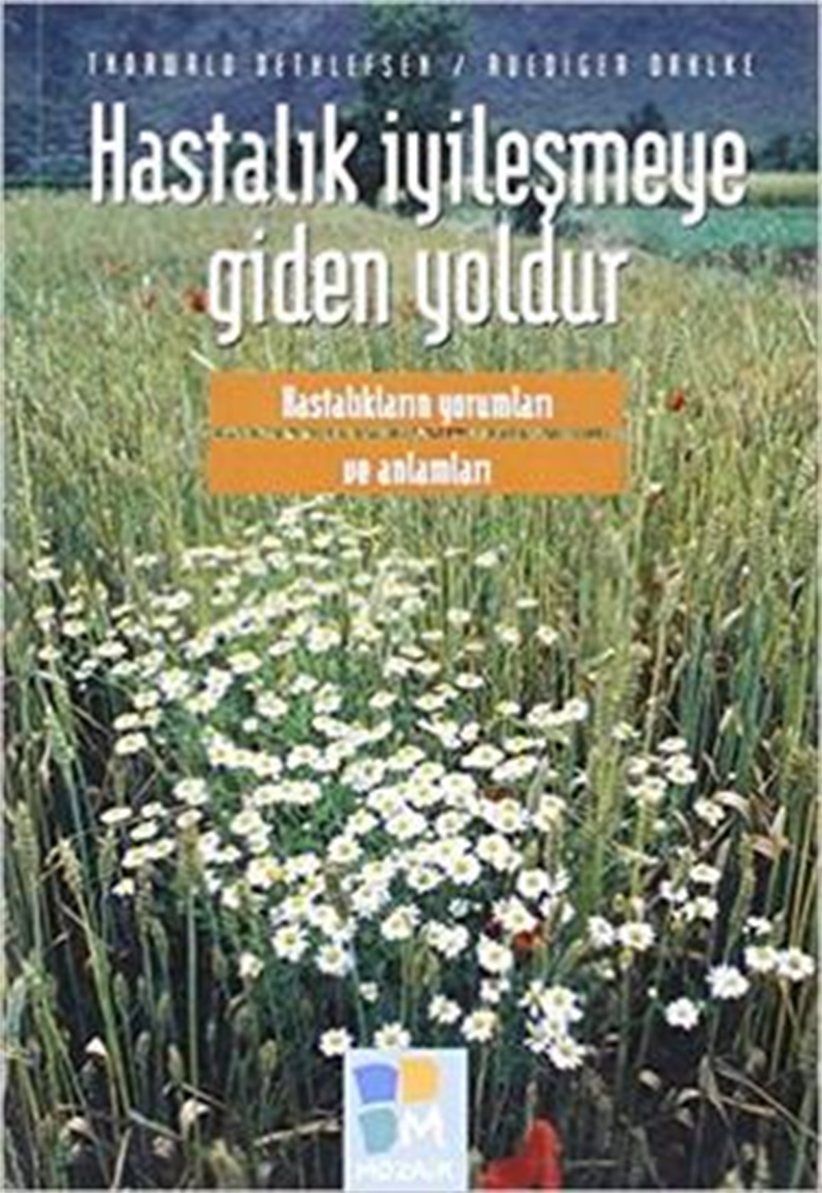 Hastalık İyileşmeye Giden Yoldur