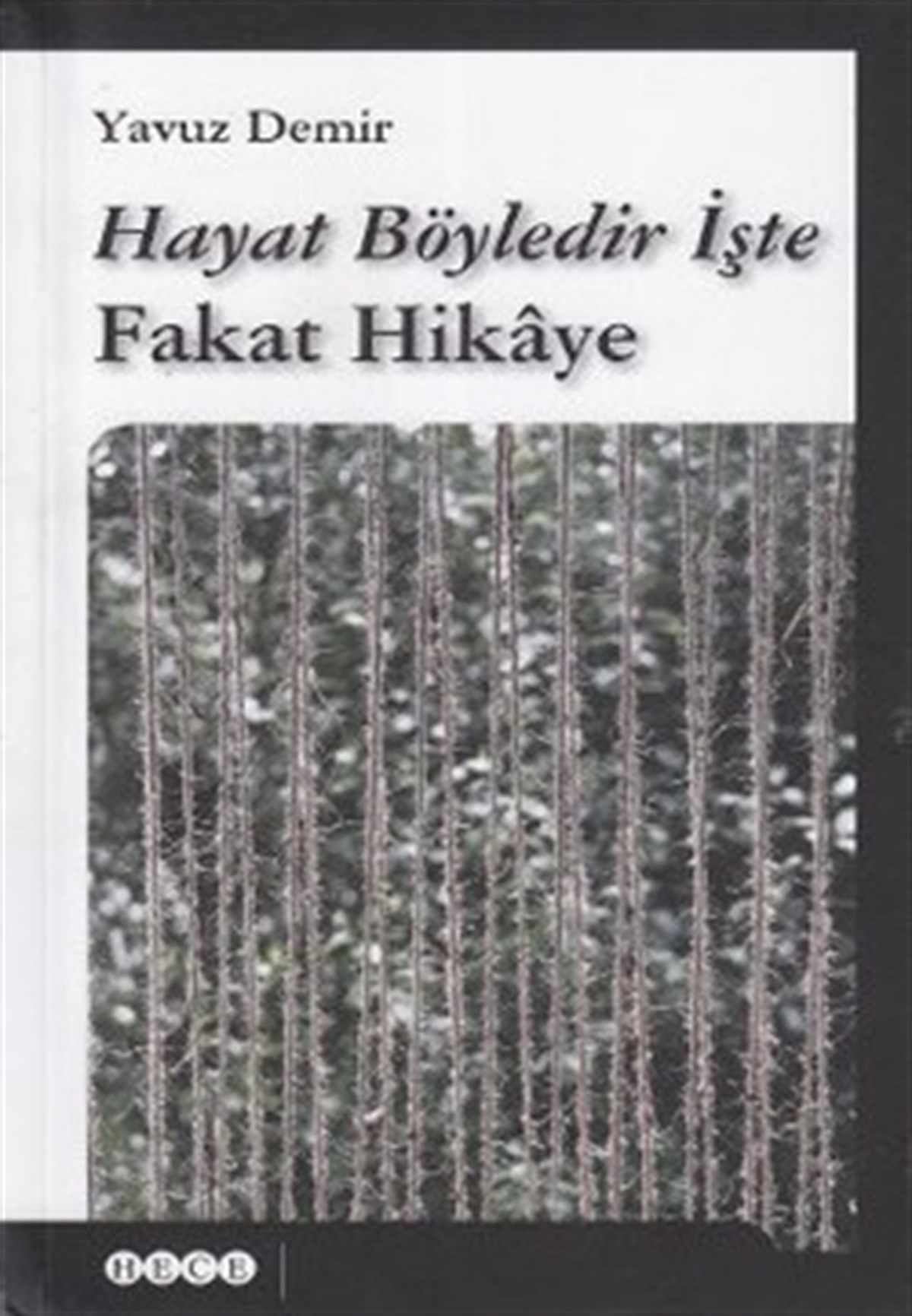 Hayat Böyledir İşte Fakat Hikaye