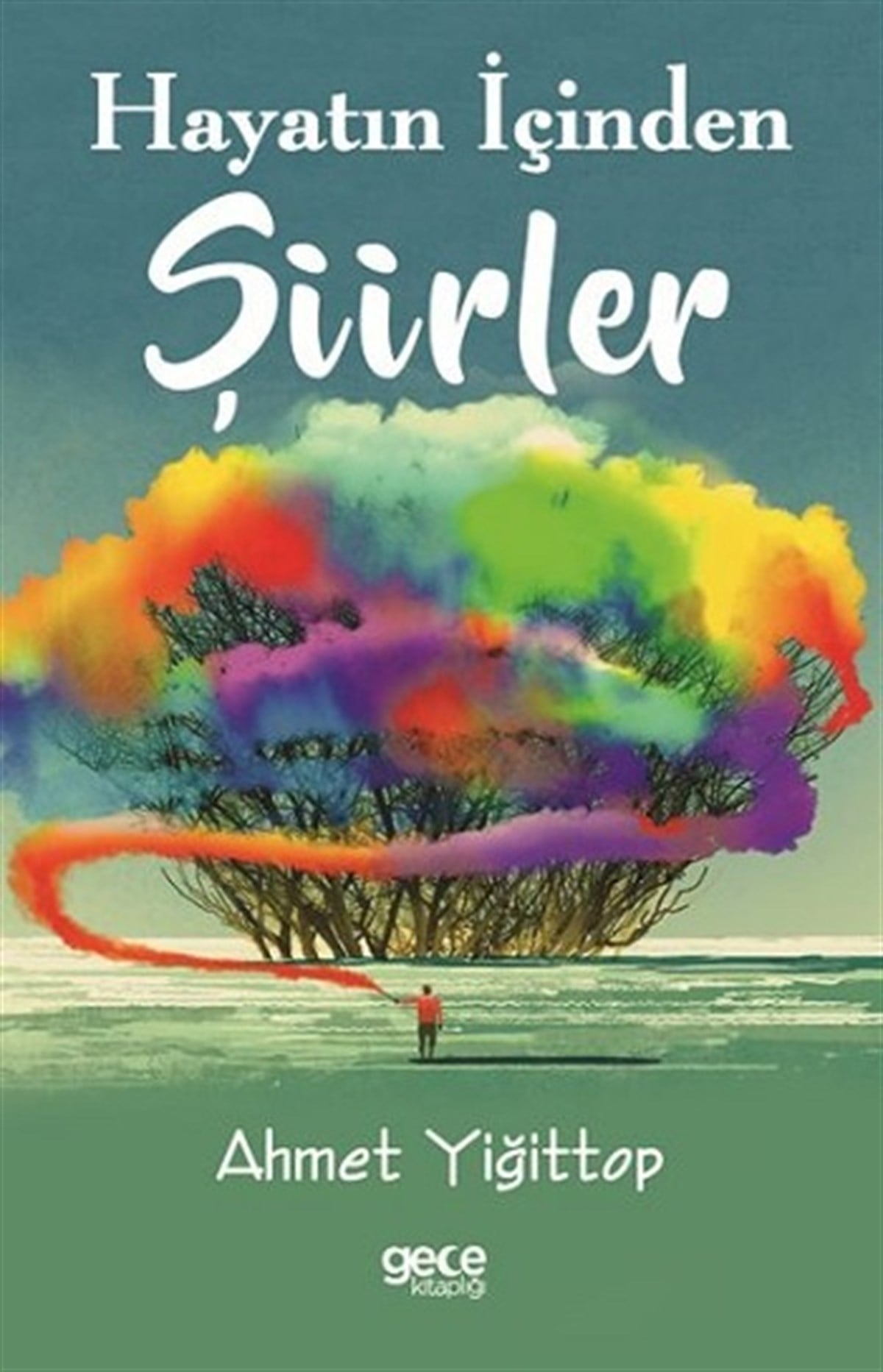 Hayatın İçinden Şiirler